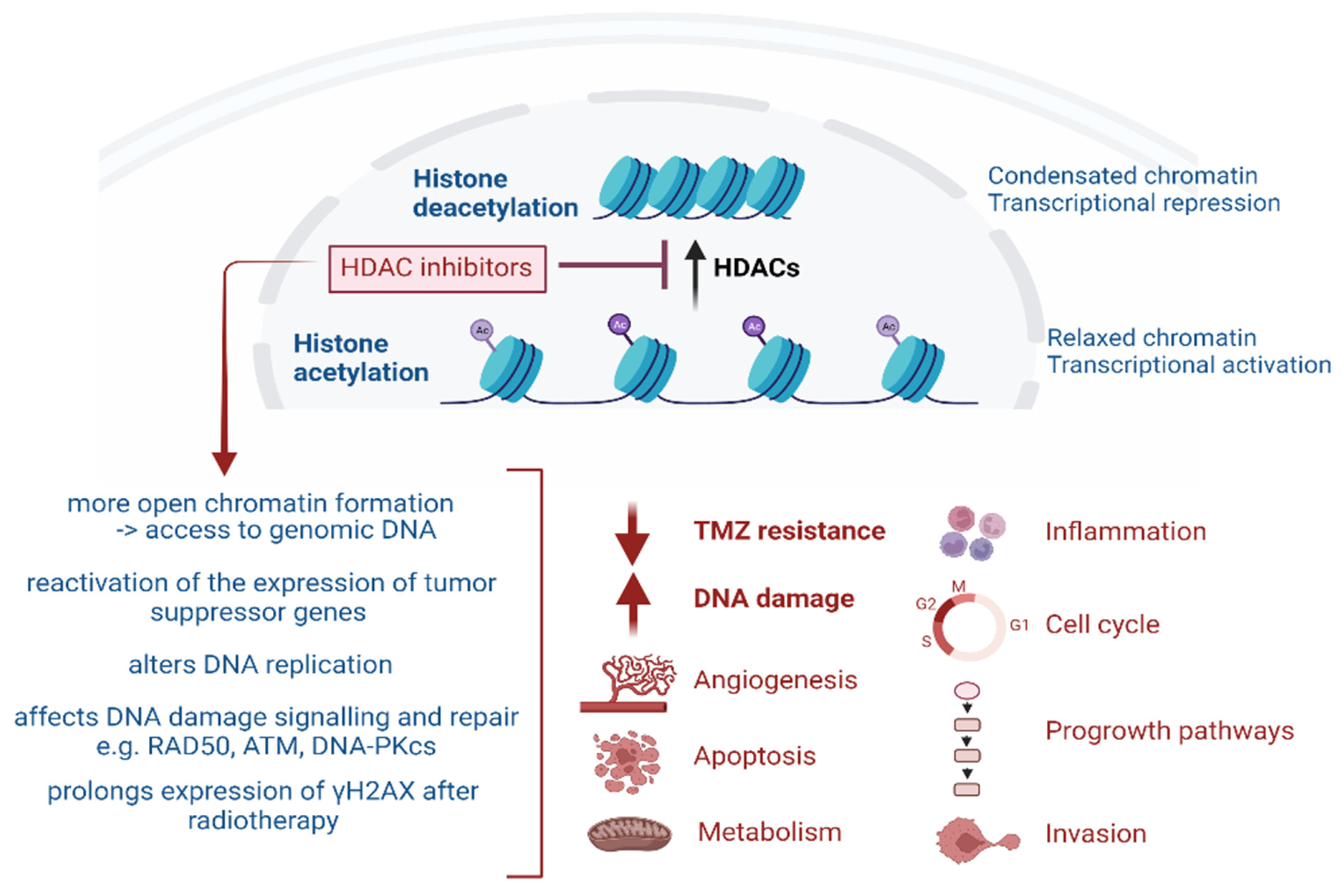 Pharmaceuticals 17 00602 g001