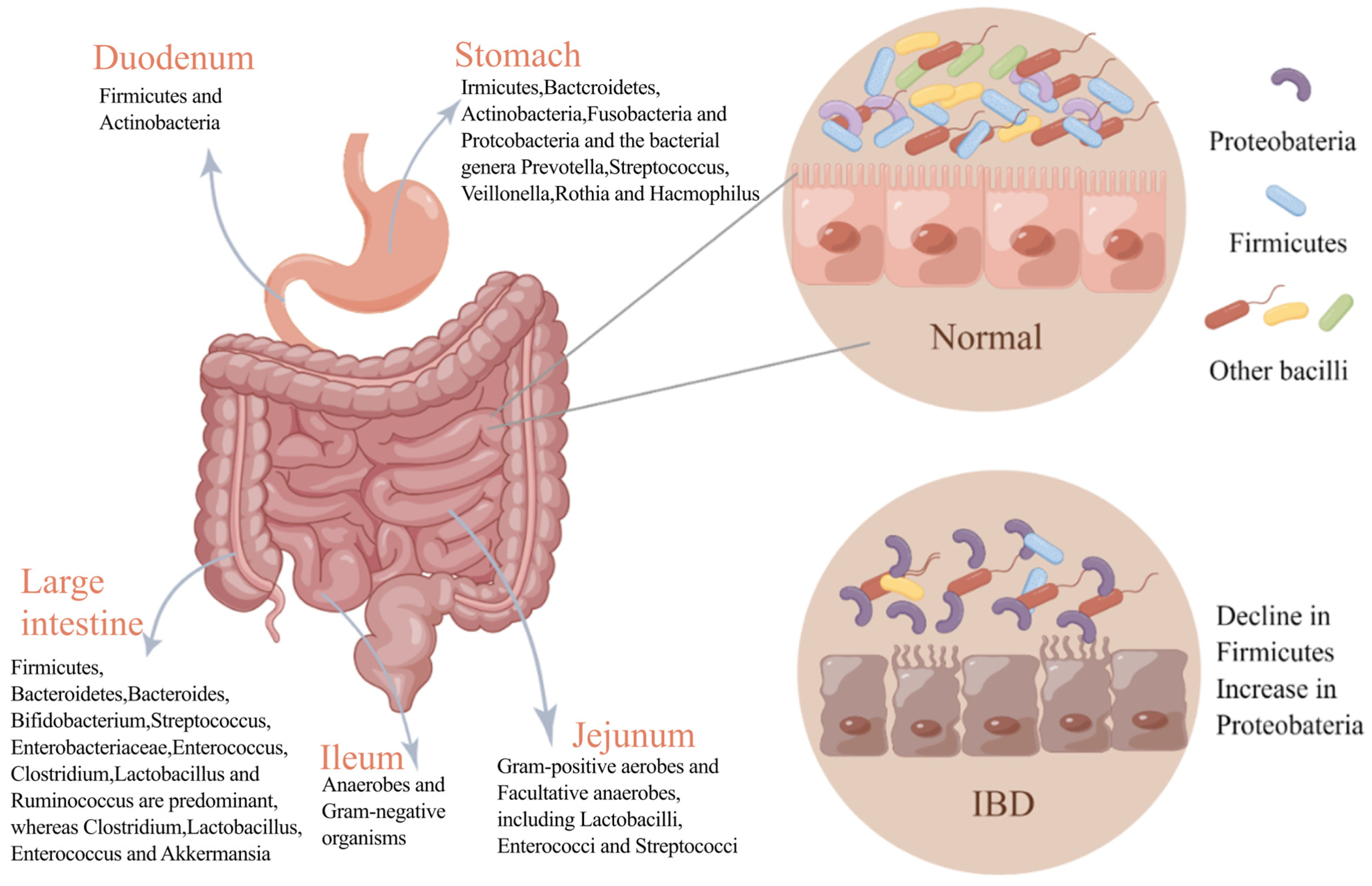Pharmaceuticals 17 00607 g001