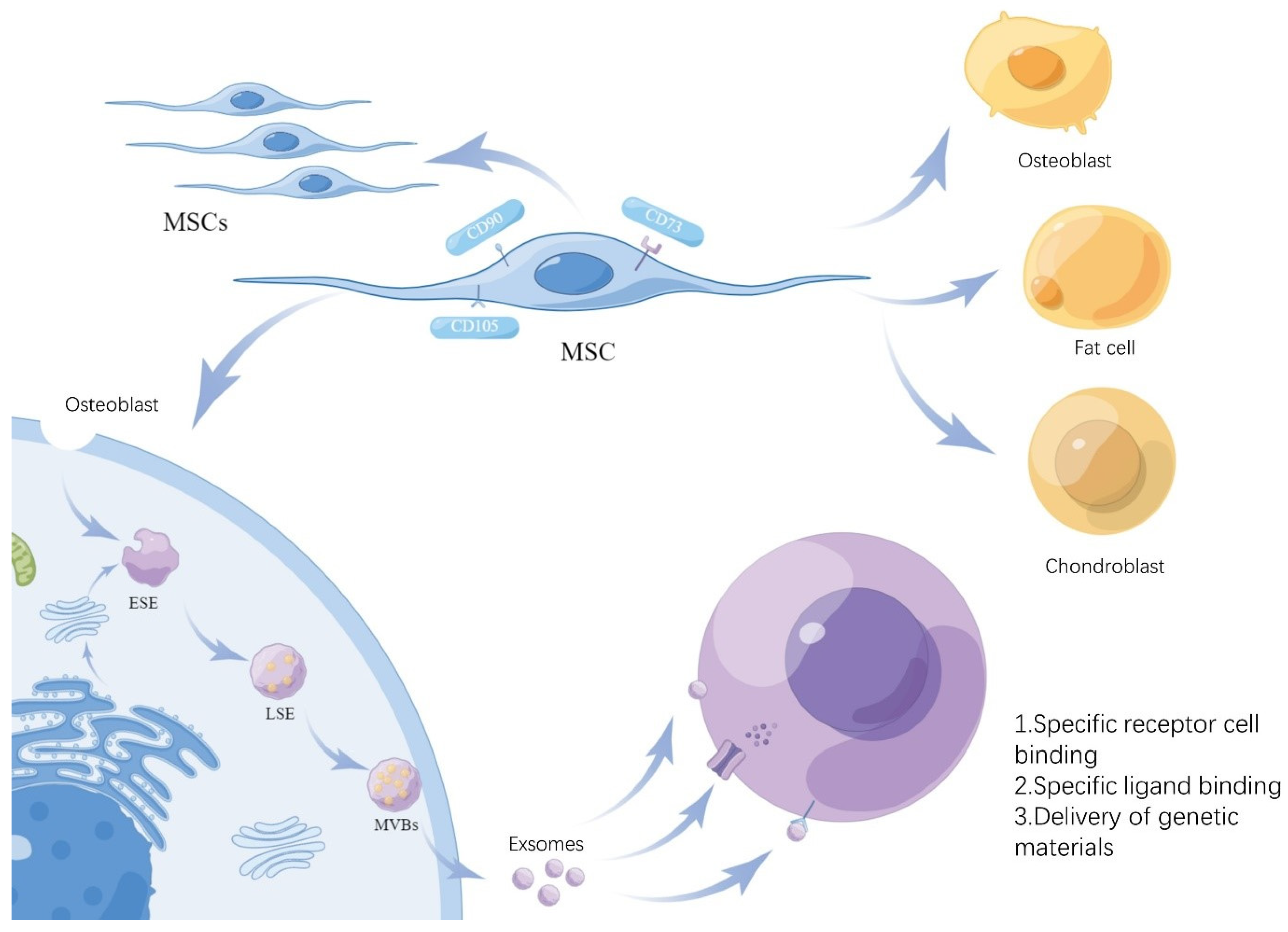 Pharmaceuticals 17 00607 g002