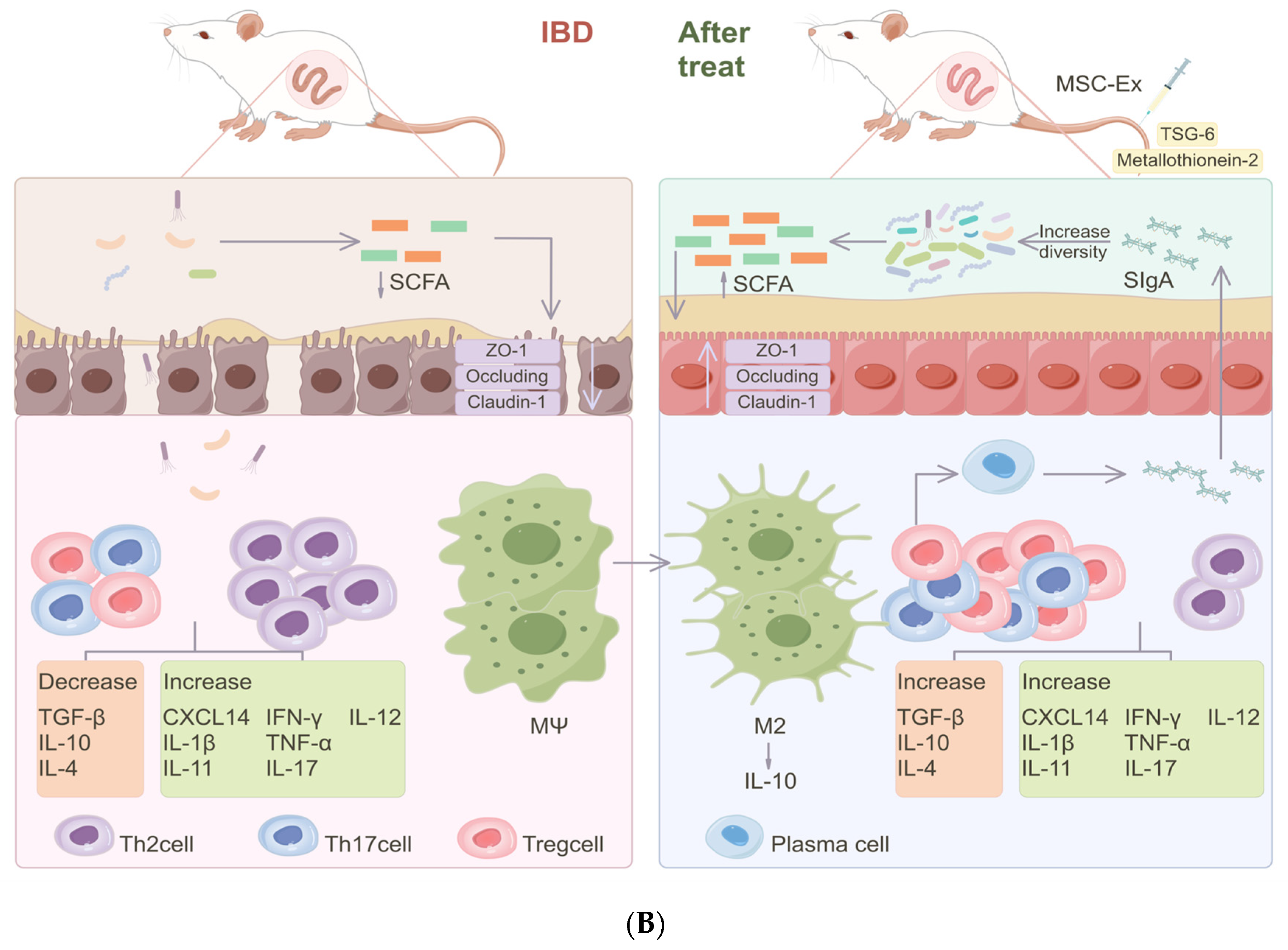 Pharmaceuticals 17 00607 g003b