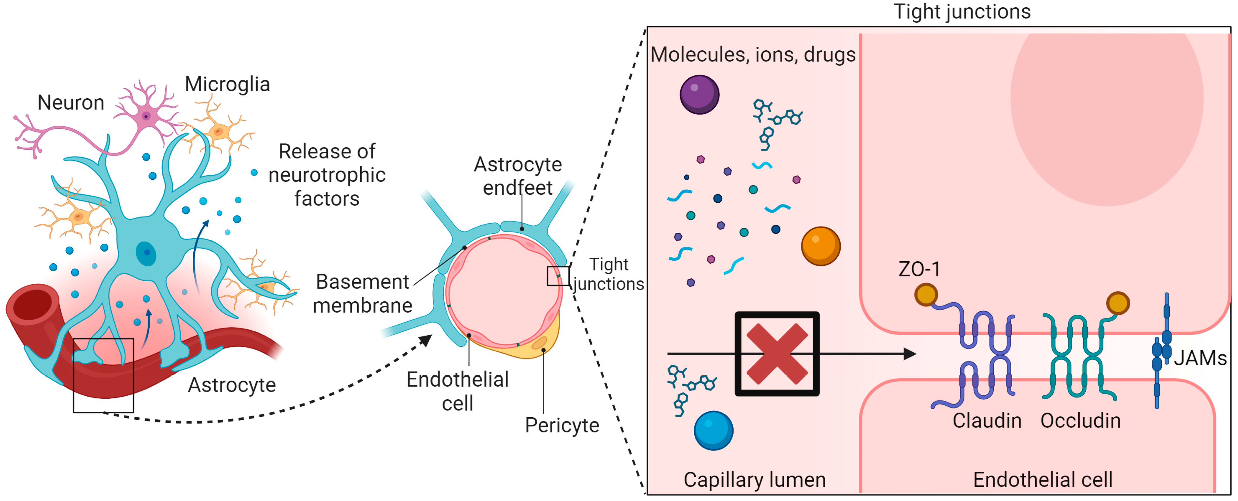 Pharmaceuticals 17 00612 g001