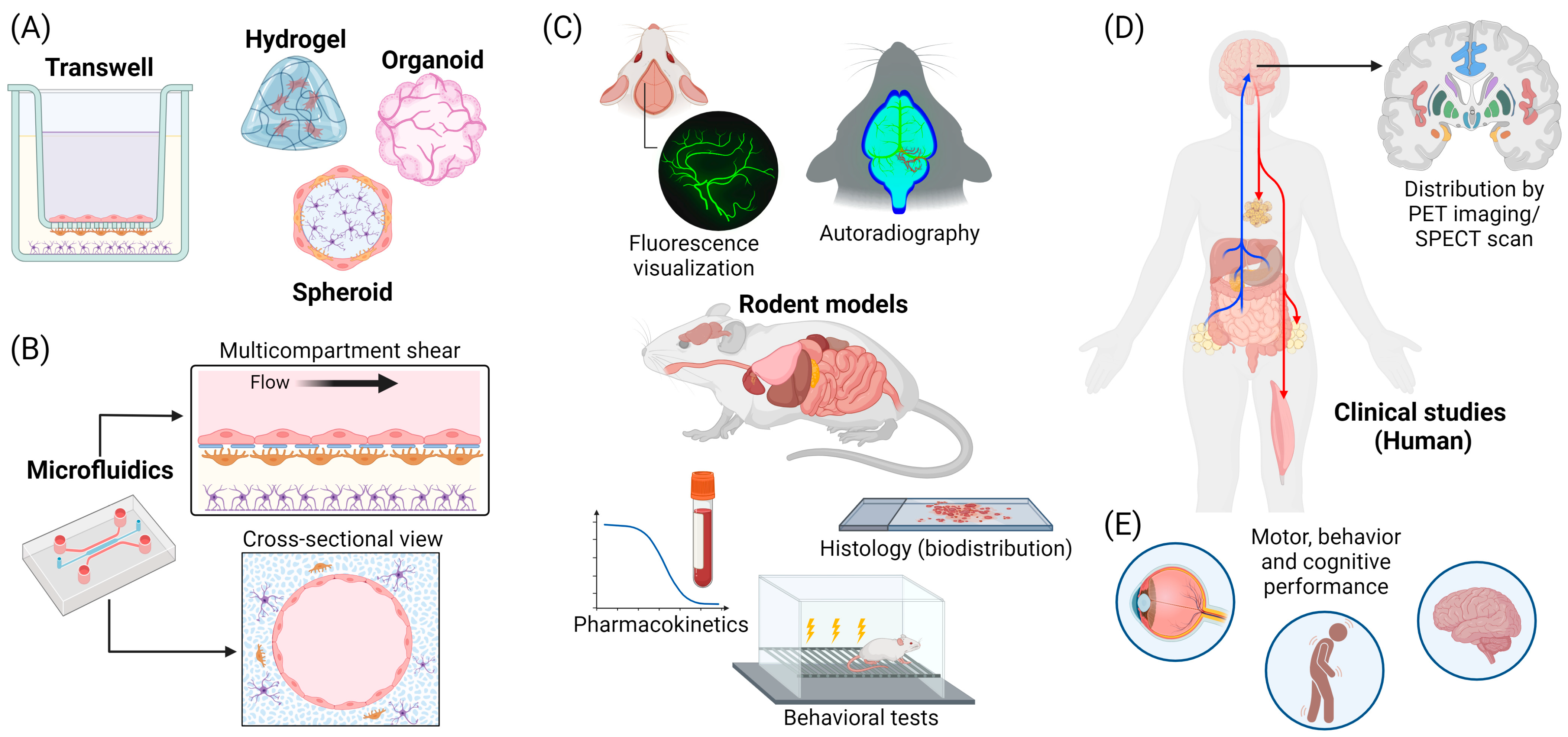 Pharmaceuticals 17 00612 g004