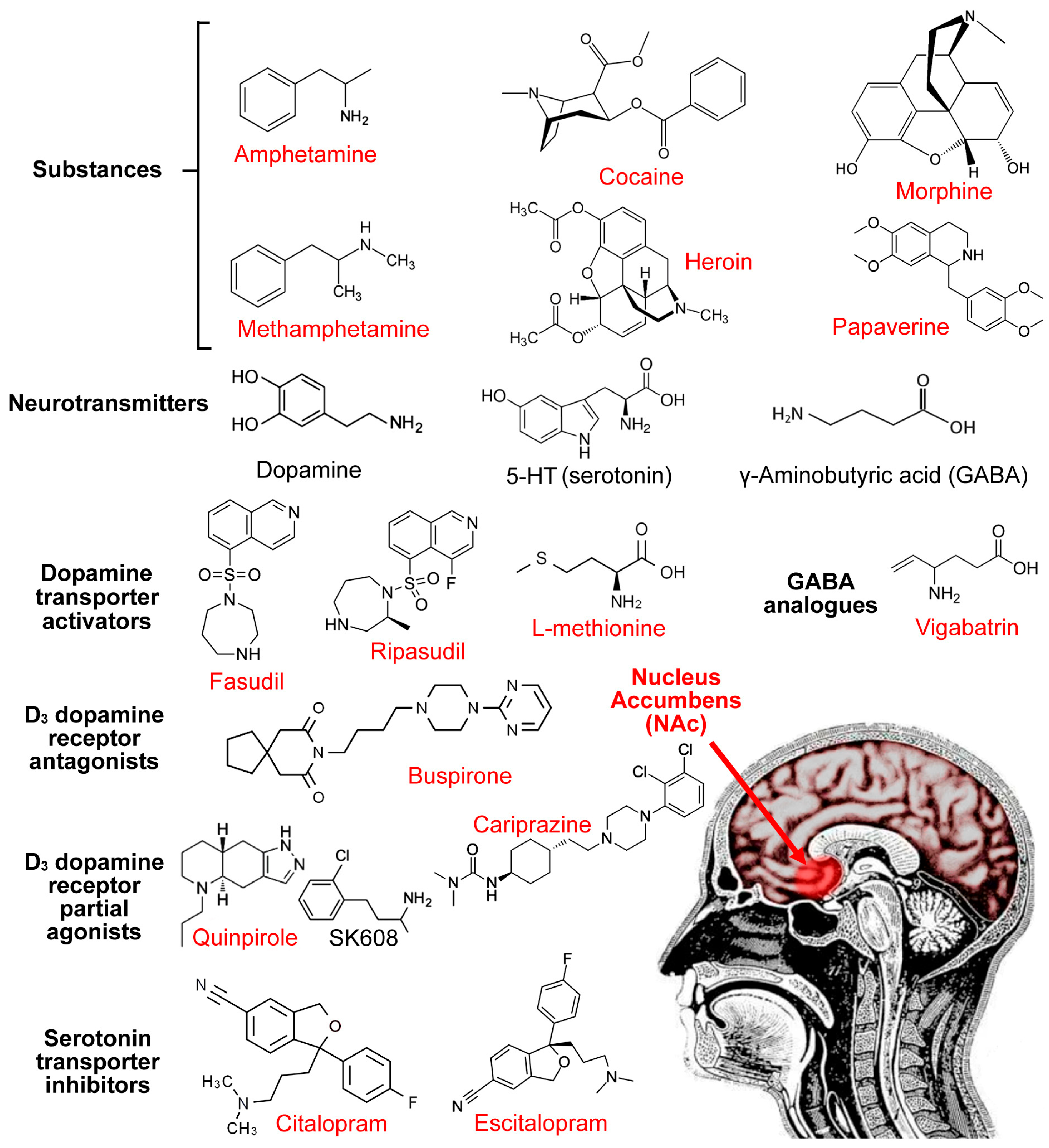 Pharmaceuticals 17 00615 g002 Pharmaceuticals 17 00615 g002