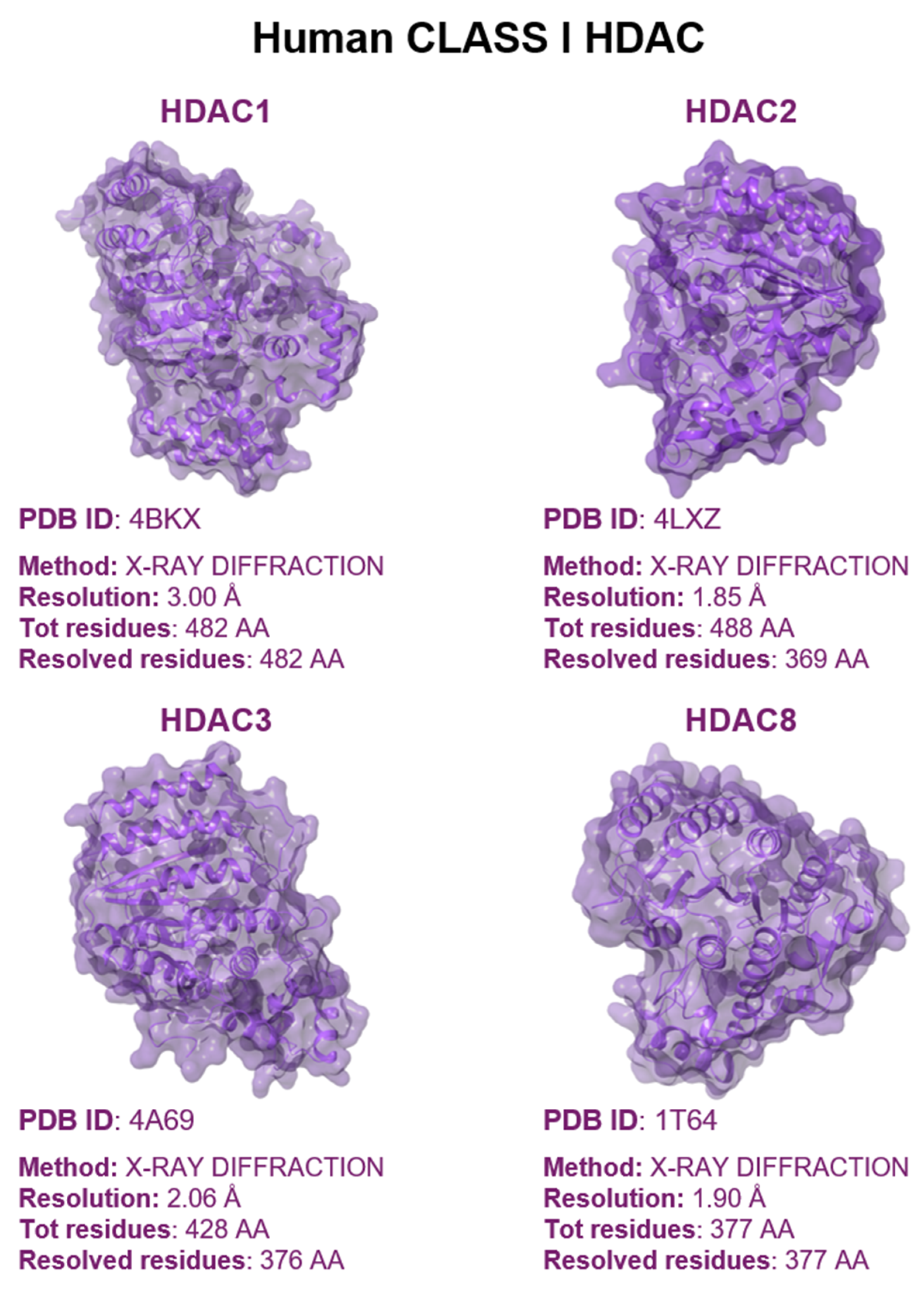 Pharmaceuticals 17 00620 g002 Pharmaceuticals 17 00620 g002