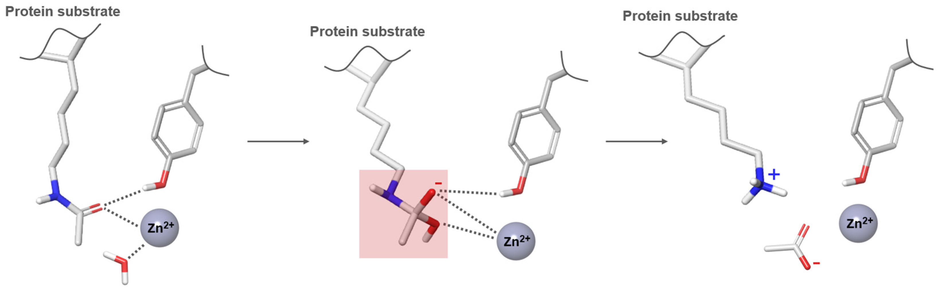 Pharmaceuticals 17 00620 g003 Pharmaceuticals 17 00620 g003