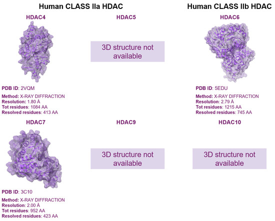 Pharmaceuticals 17 00620 g004