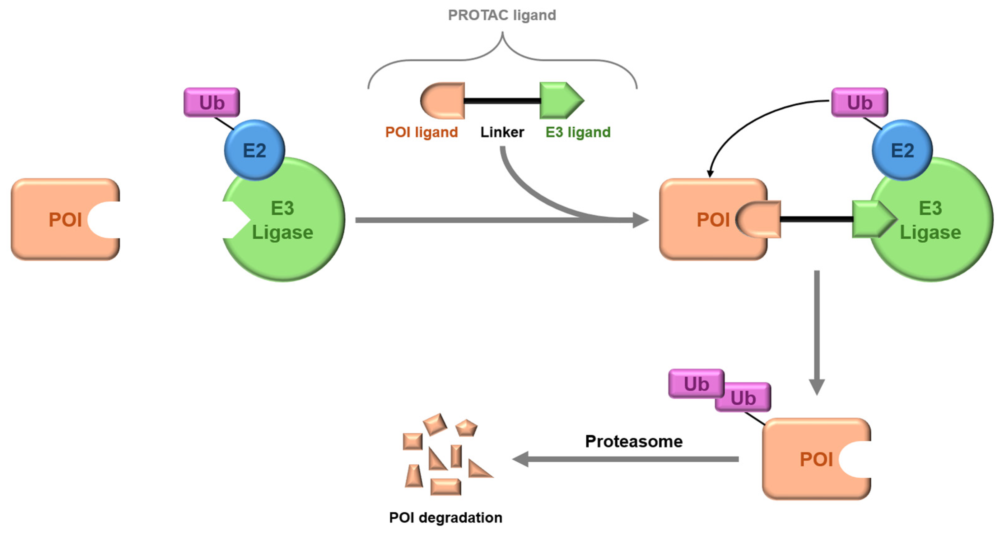 Pharmaceuticals 17 00620 g008 Pharmaceuticals 17 00620 g008