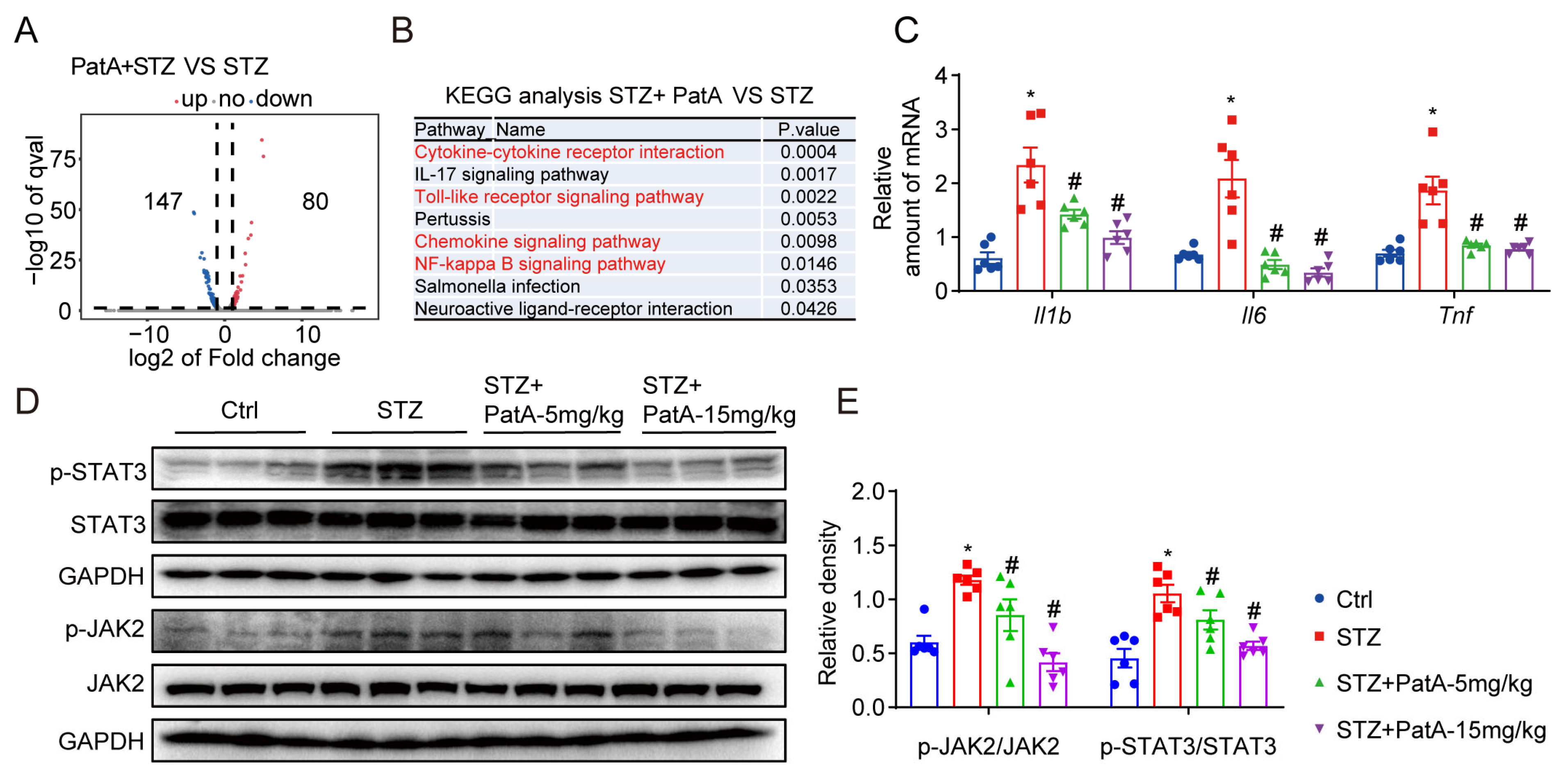 Pharmaceuticals 17 00631 g004
