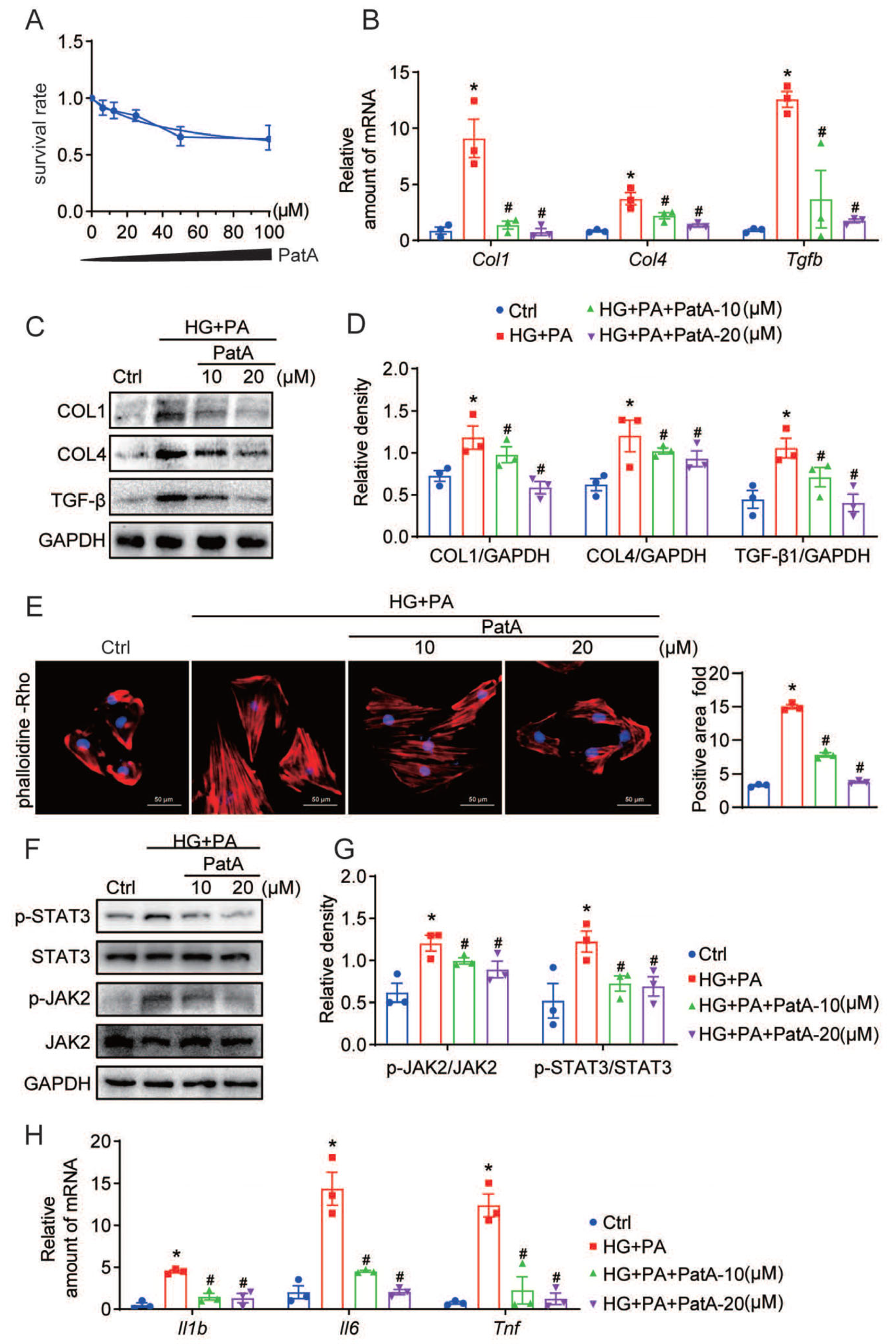Pharmaceuticals 17 00631 g005