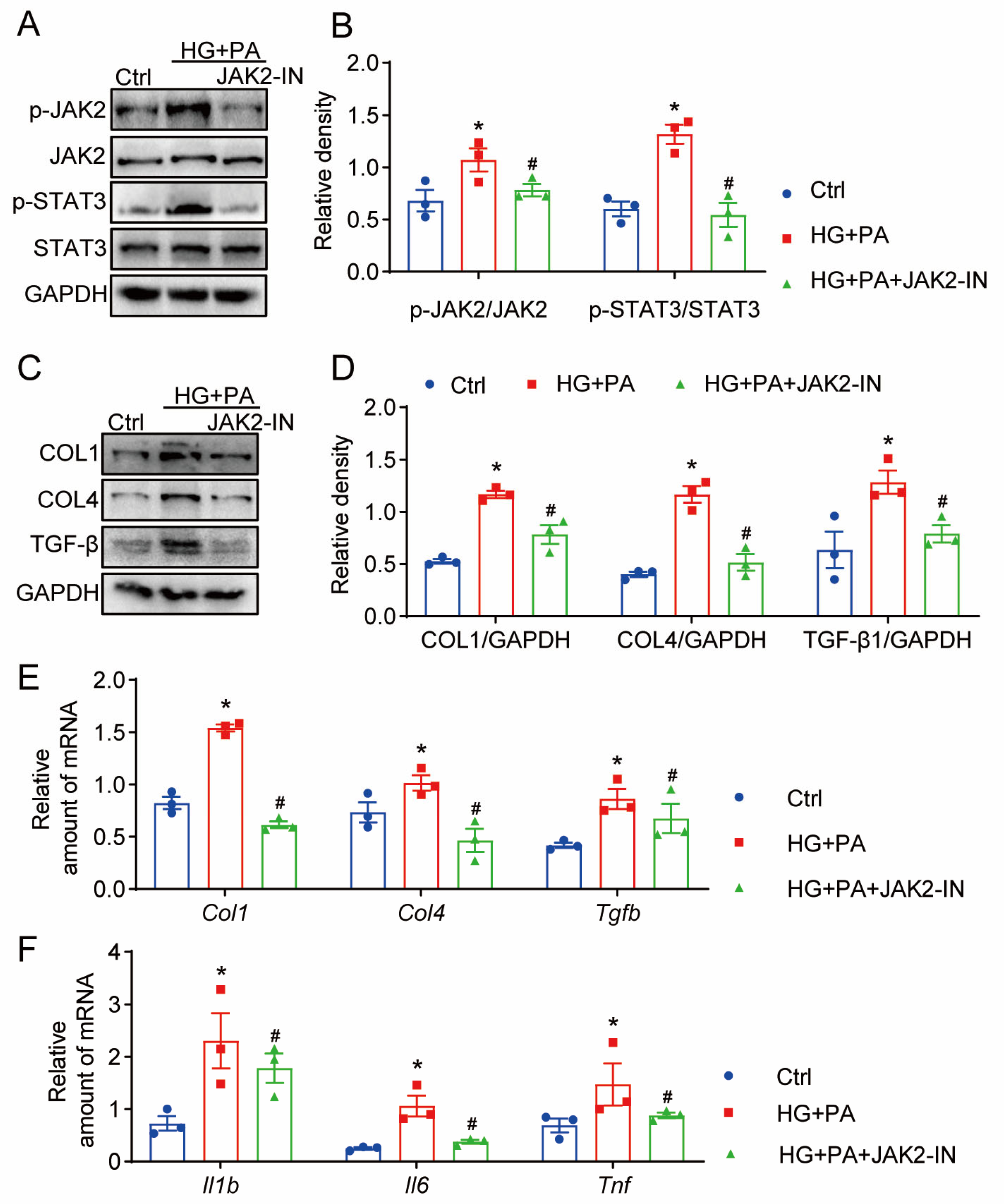 Pharmaceuticals 17 00631 g006