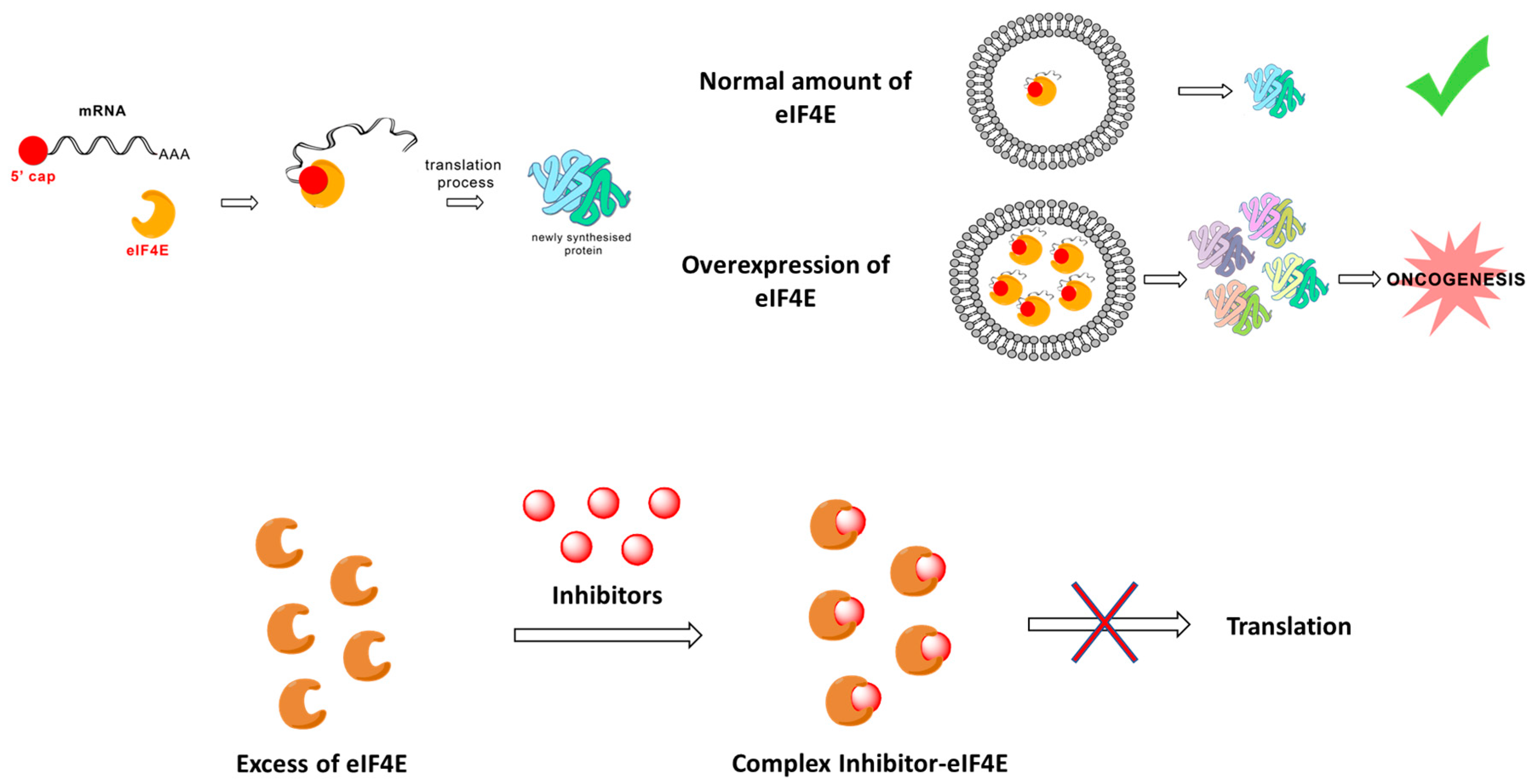Pharmaceuticals 17 00632 g002