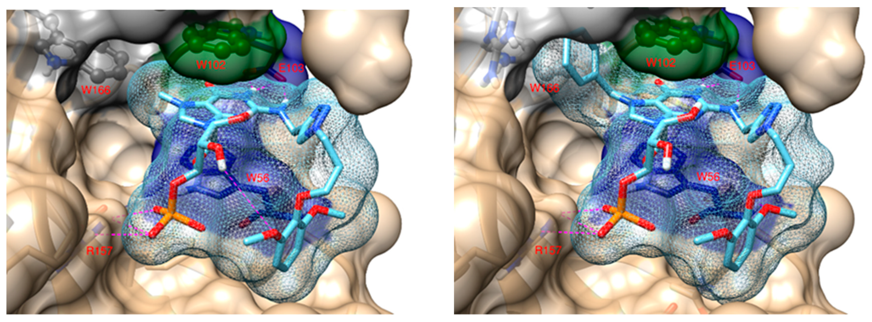 Pharmaceuticals 17 00632 g003