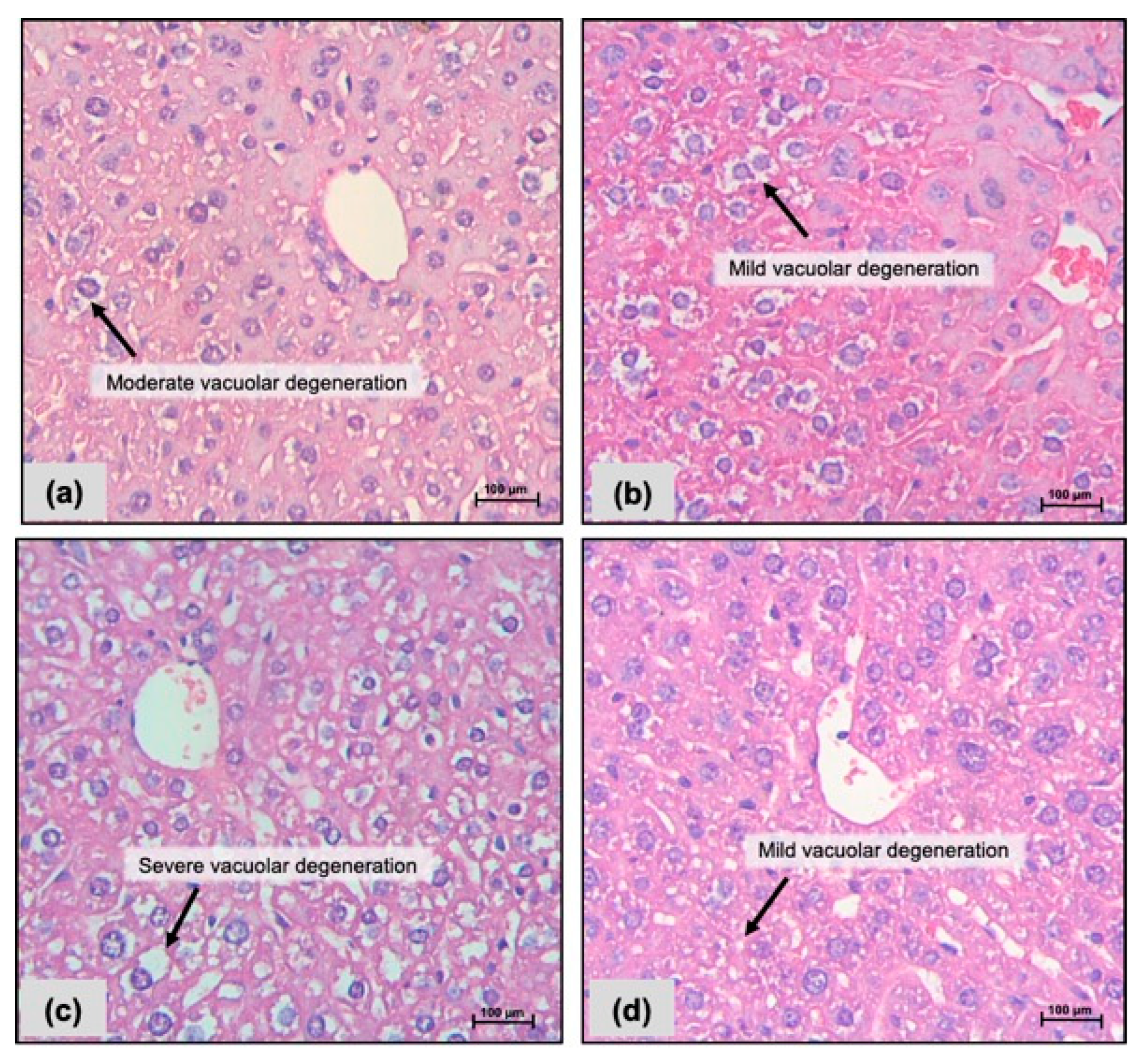 Pharmaceuticals 17 00633 g002 Pharmaceuticals 17 00633 g002
