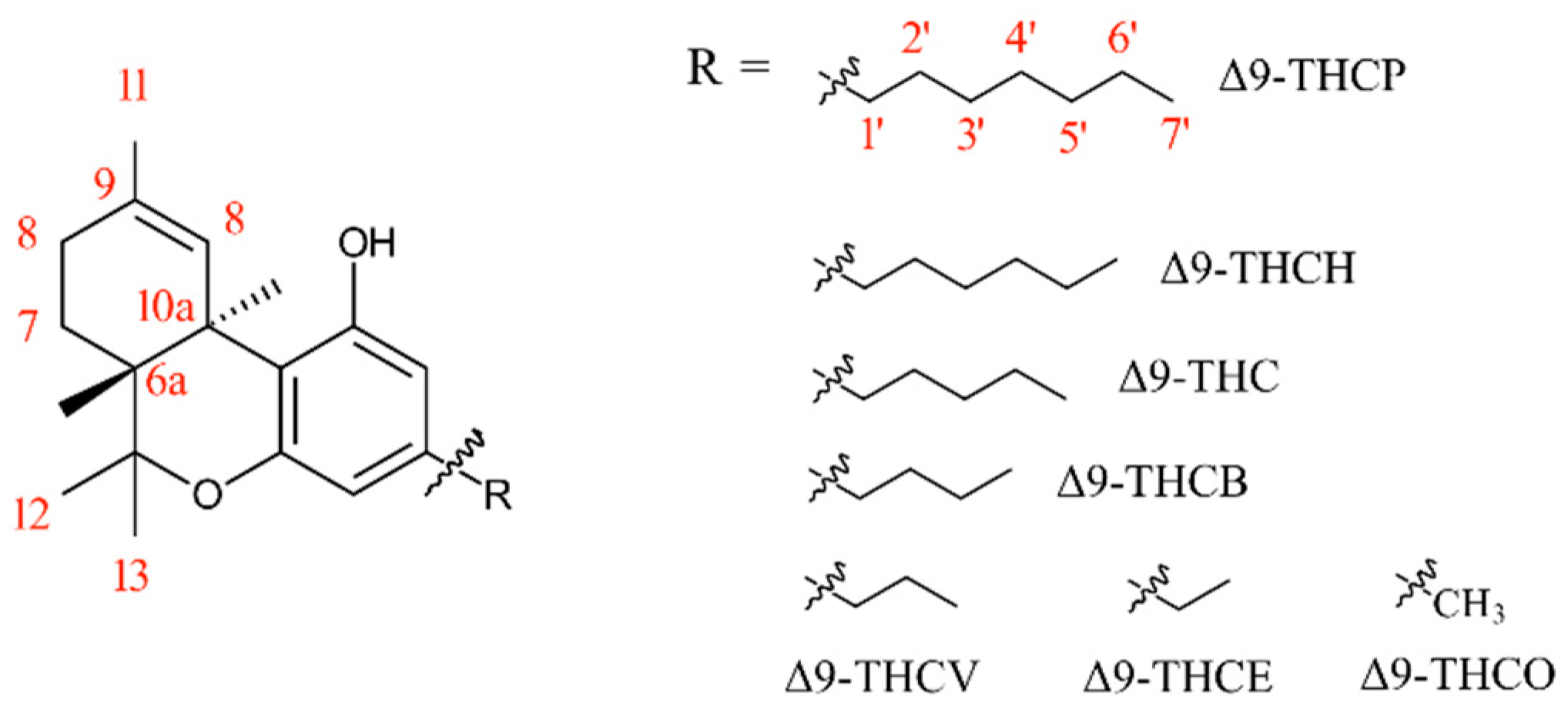 Pharmaceuticals 17 00637 g001