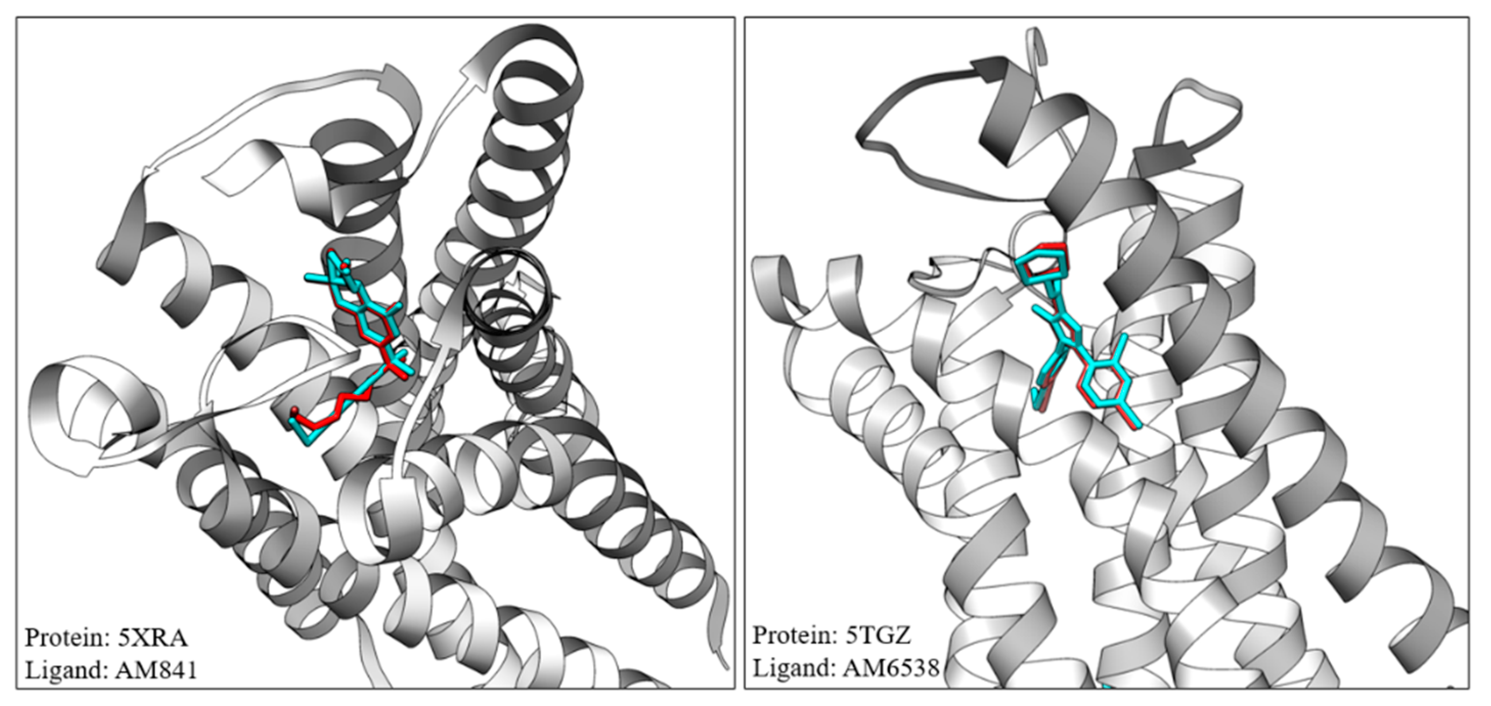 Pharmaceuticals 17 00637 g004