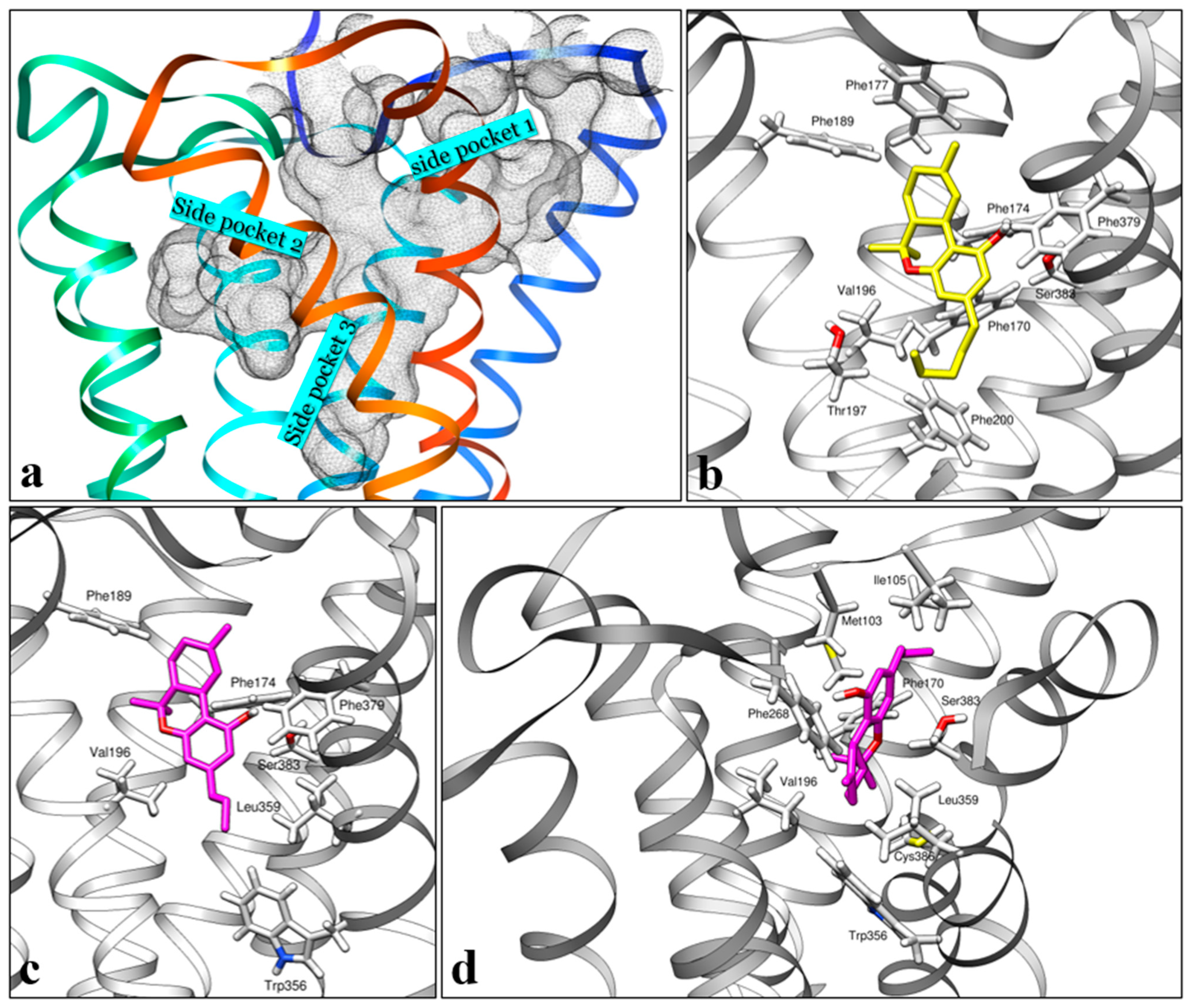 Pharmaceuticals 17 00637 g005