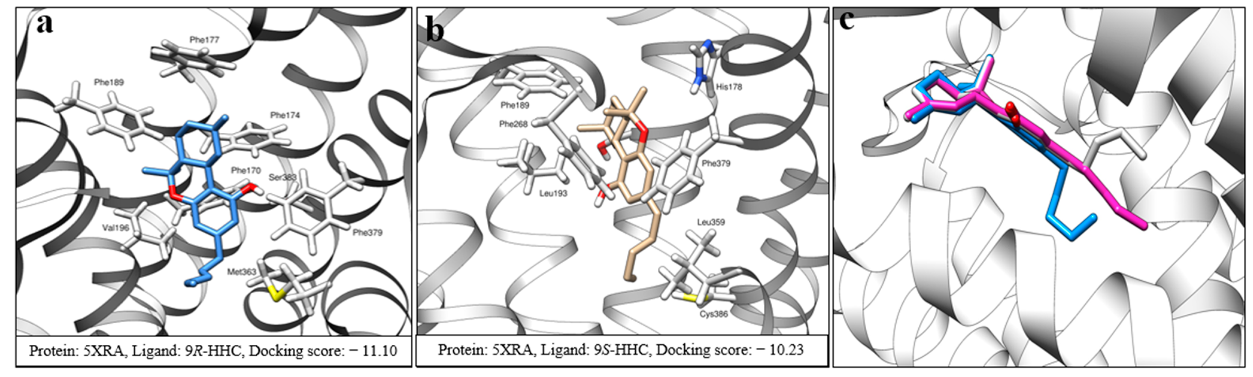 Pharmaceuticals 17 00637 g008