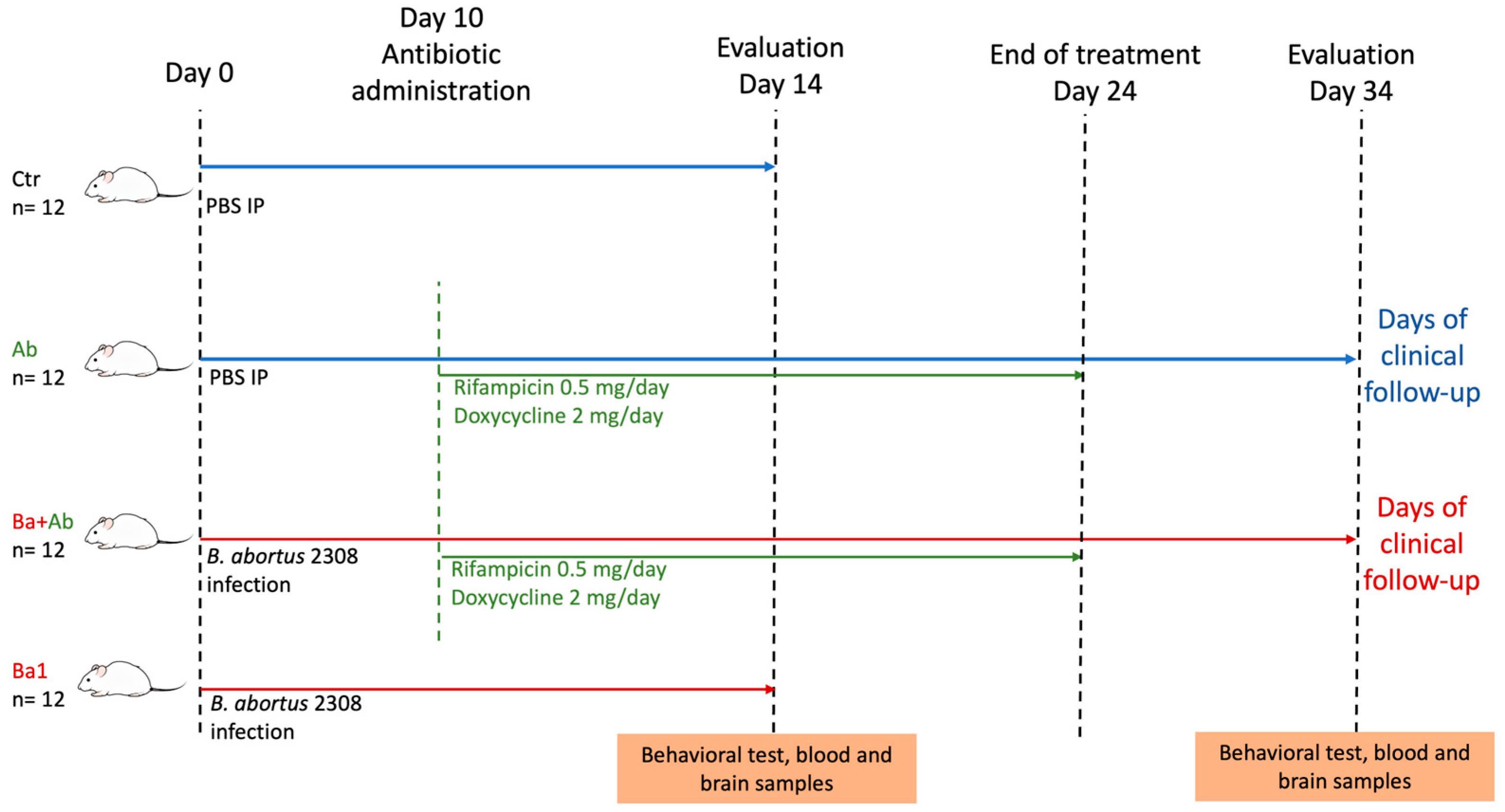 Pharmaceuticals 17 00638 g001