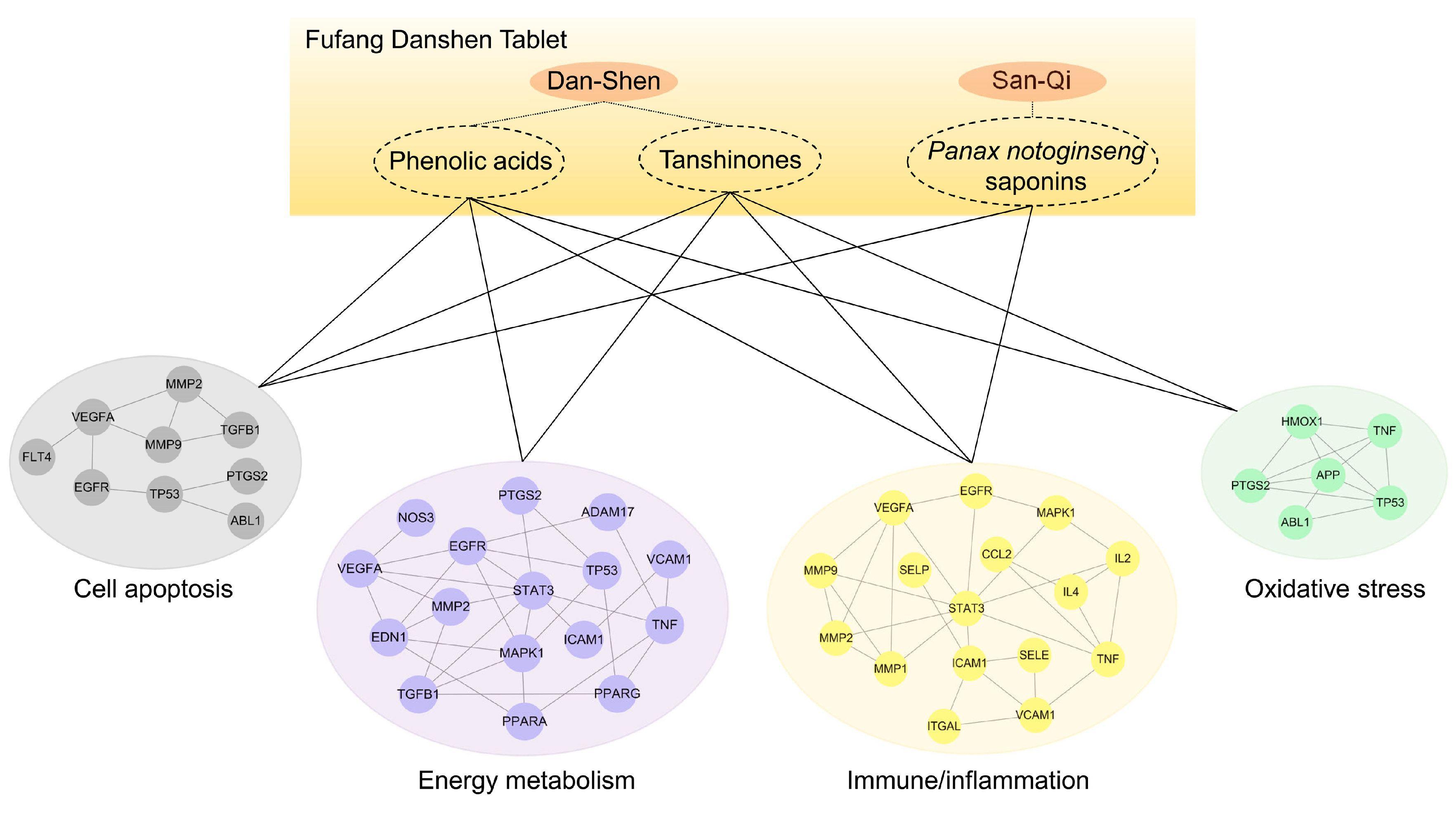 Pharmaceuticals 17 00643 g003