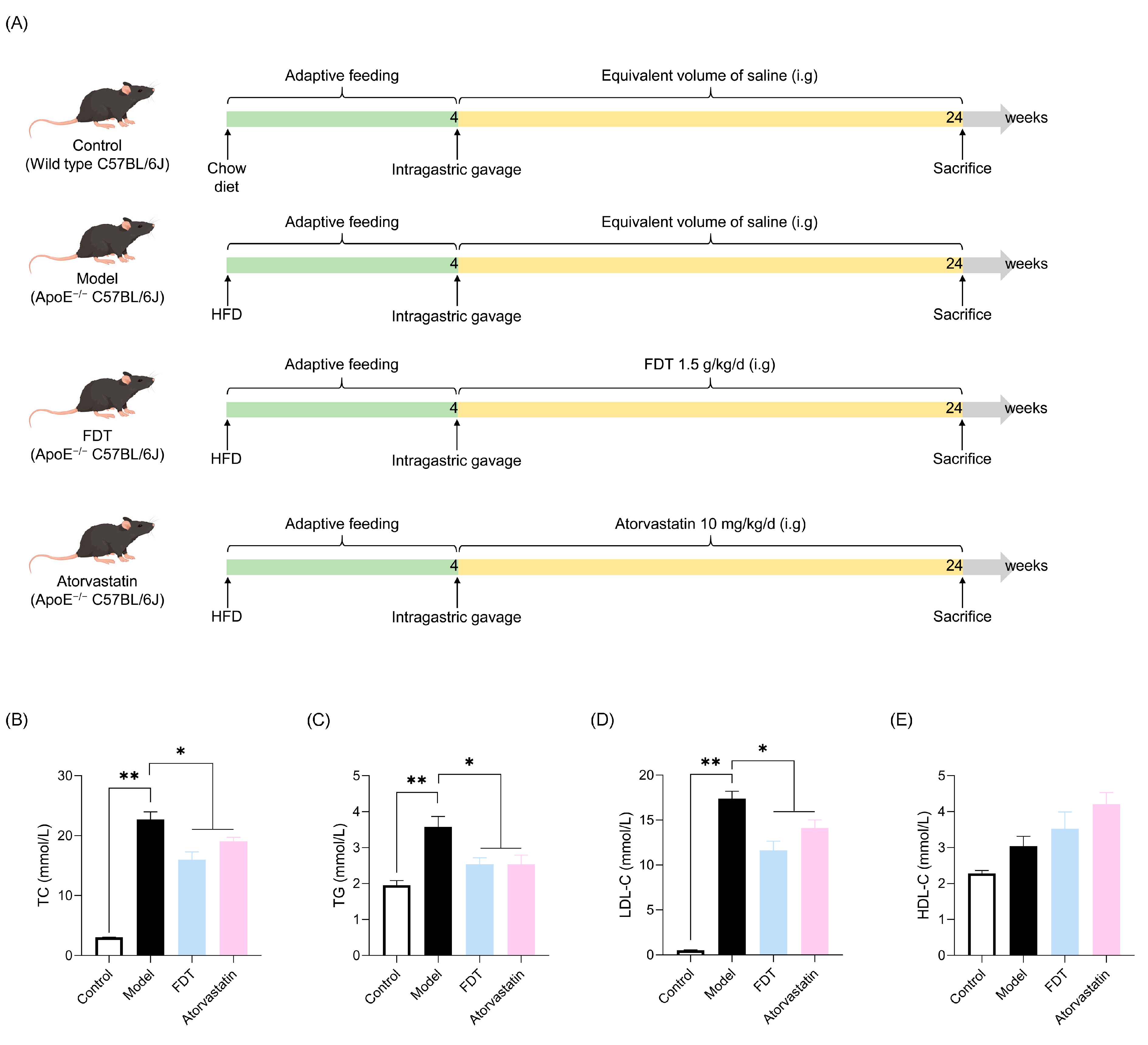 Pharmaceuticals 17 00643 g004