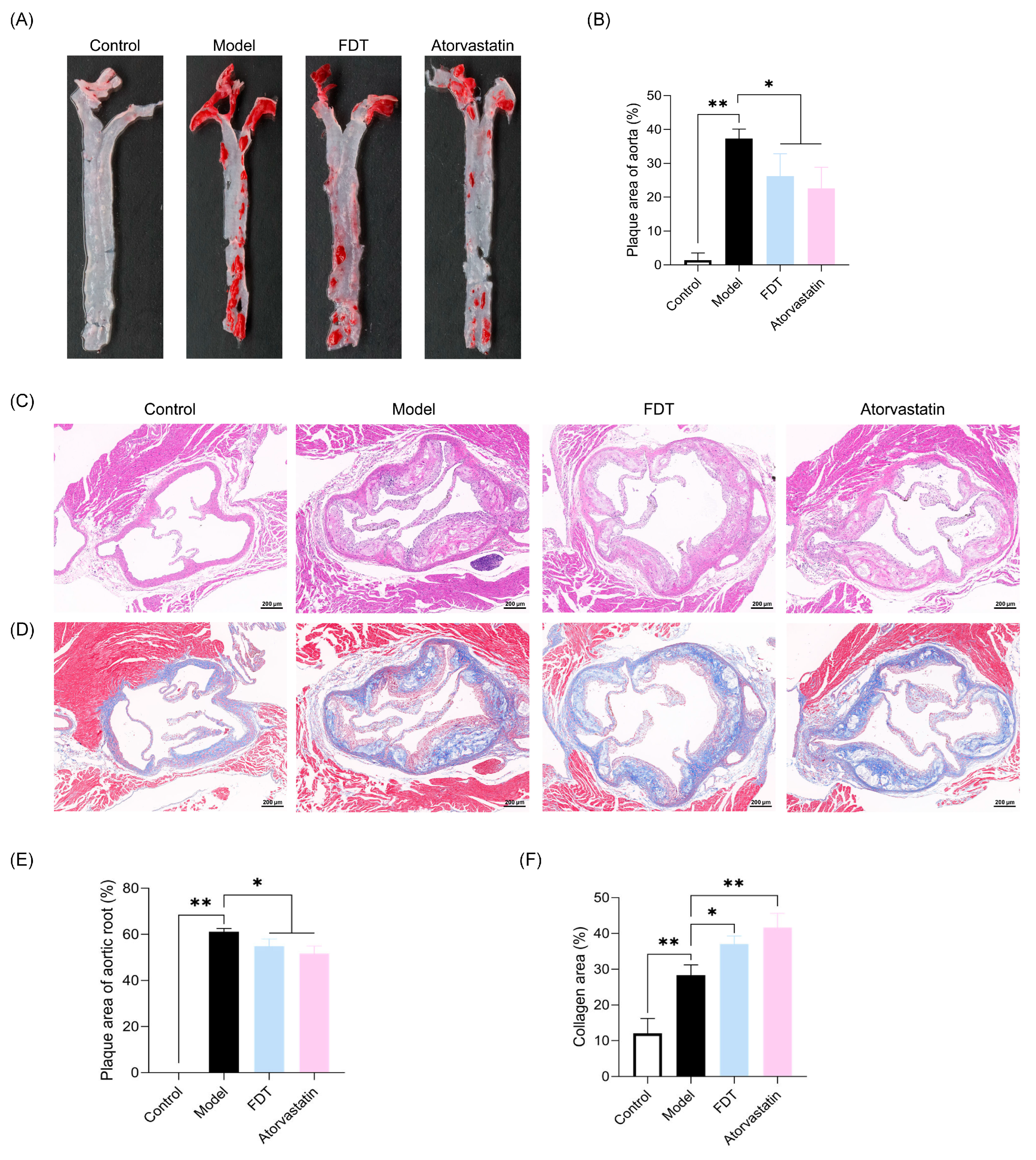 Pharmaceuticals 17 00643 g005