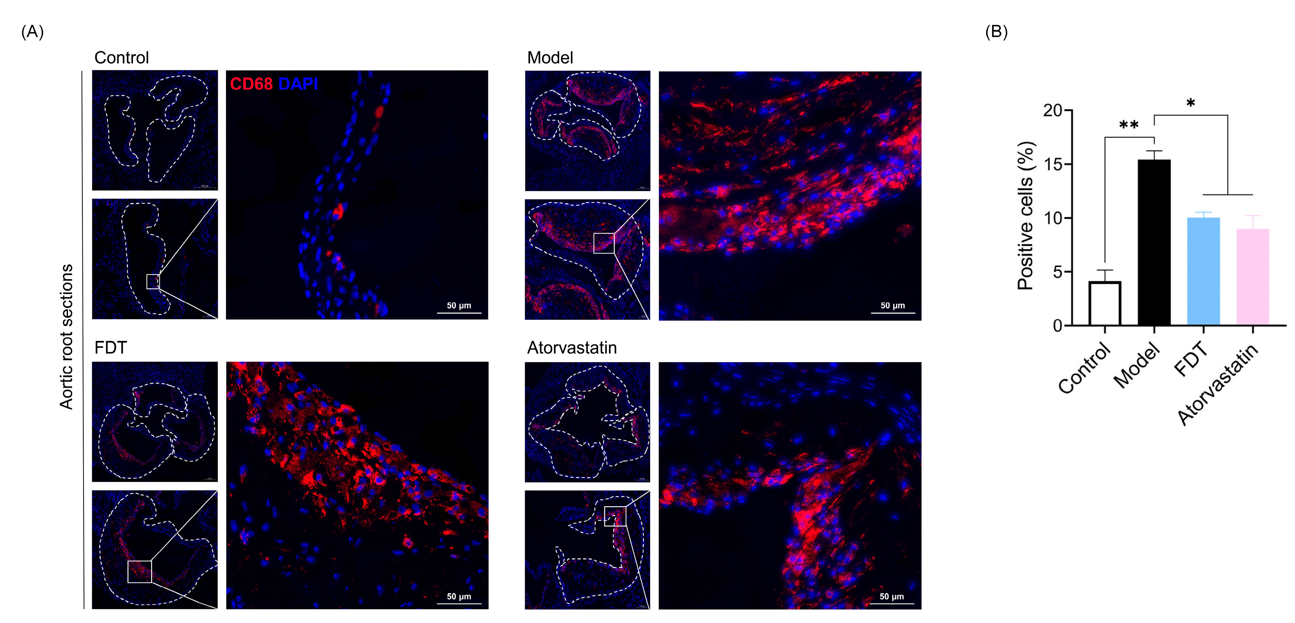 Pharmaceuticals 17 00643 g006