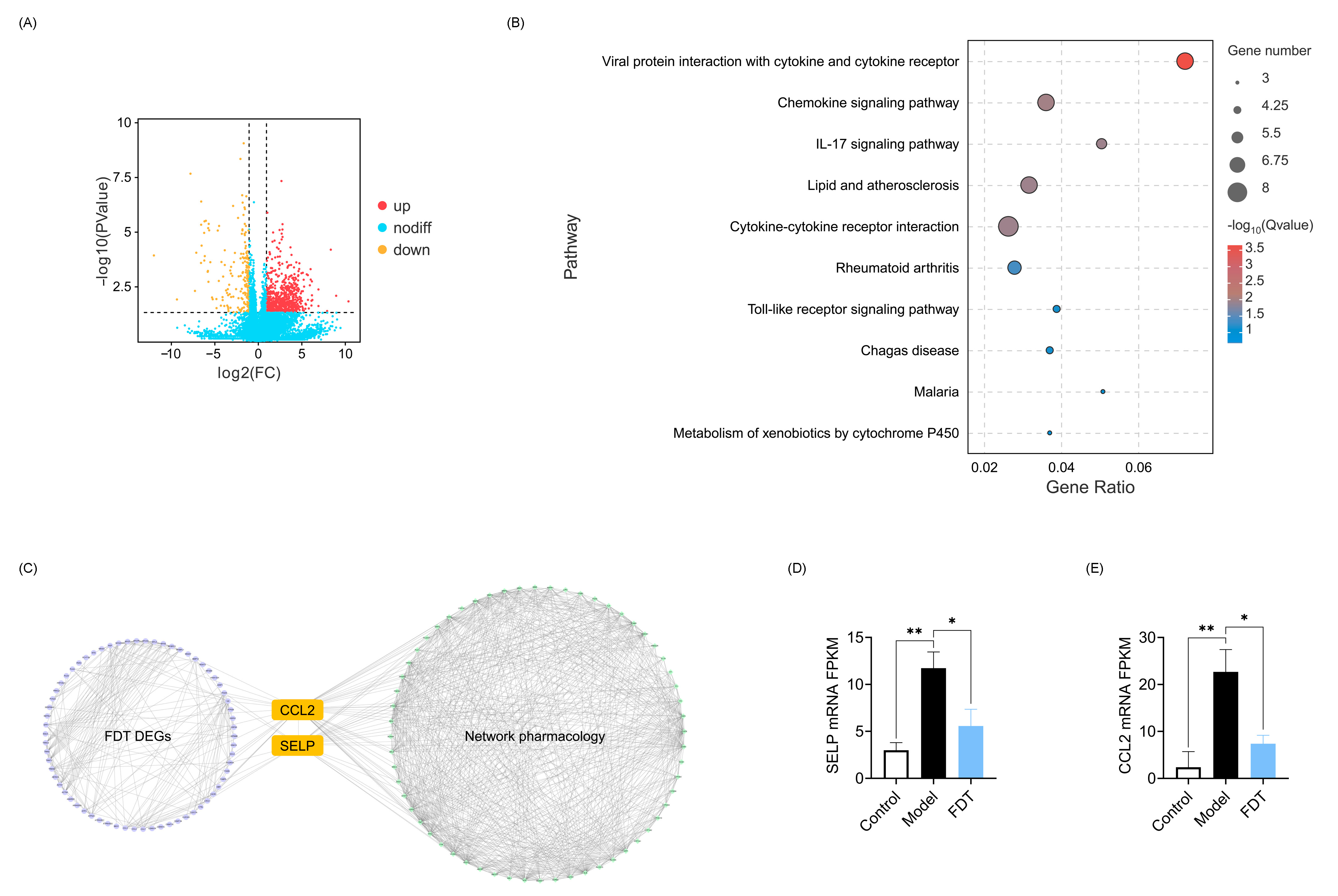 Pharmaceuticals 17 00643 g007