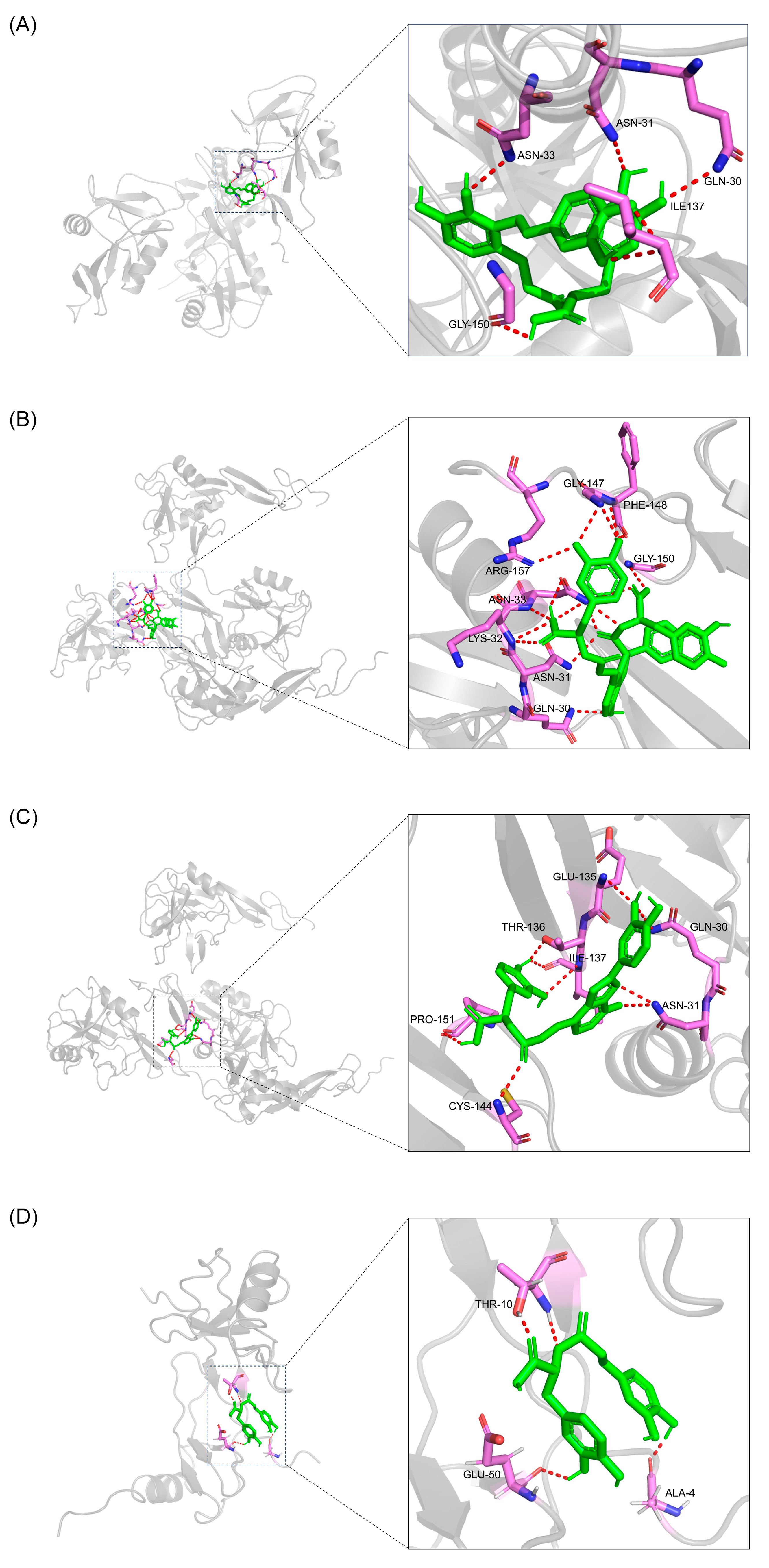 Pharmaceuticals 17 00643 g008
