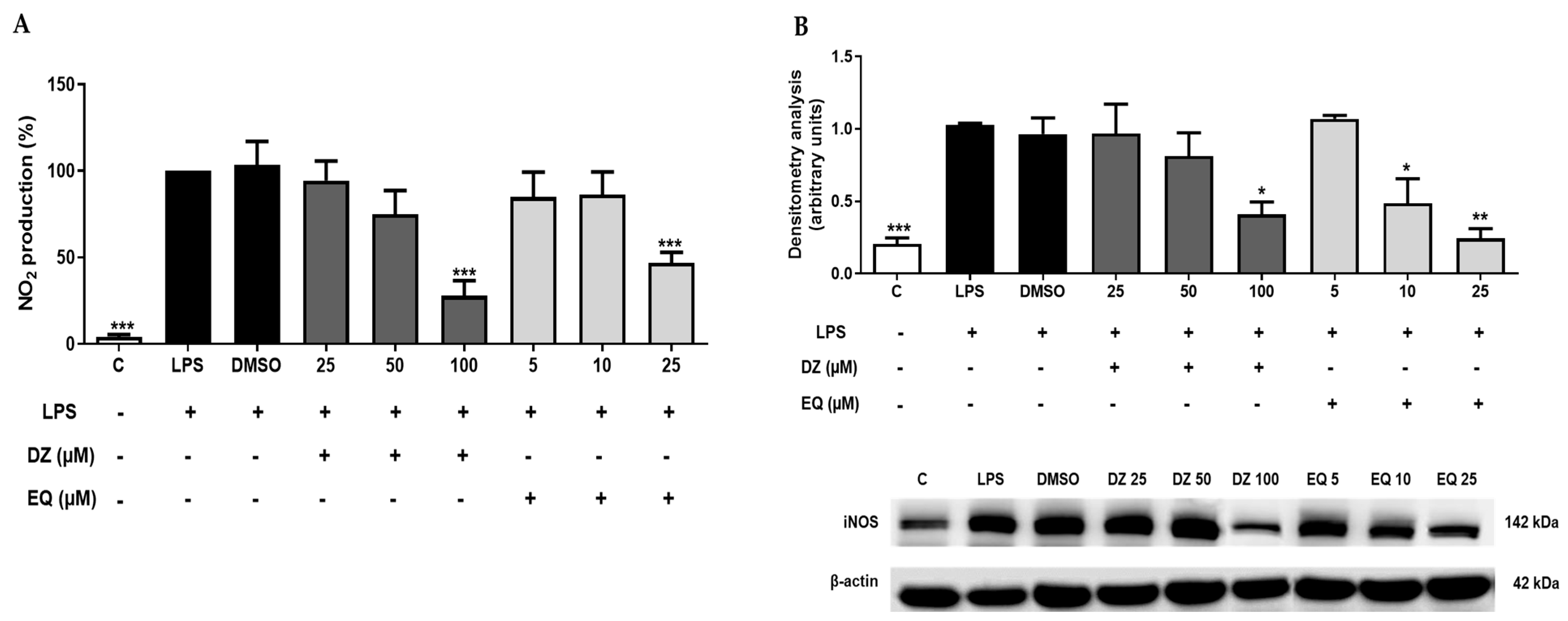 Pharmaceuticals 17 00647 g004 Pharmaceuticals 17 00647 g004