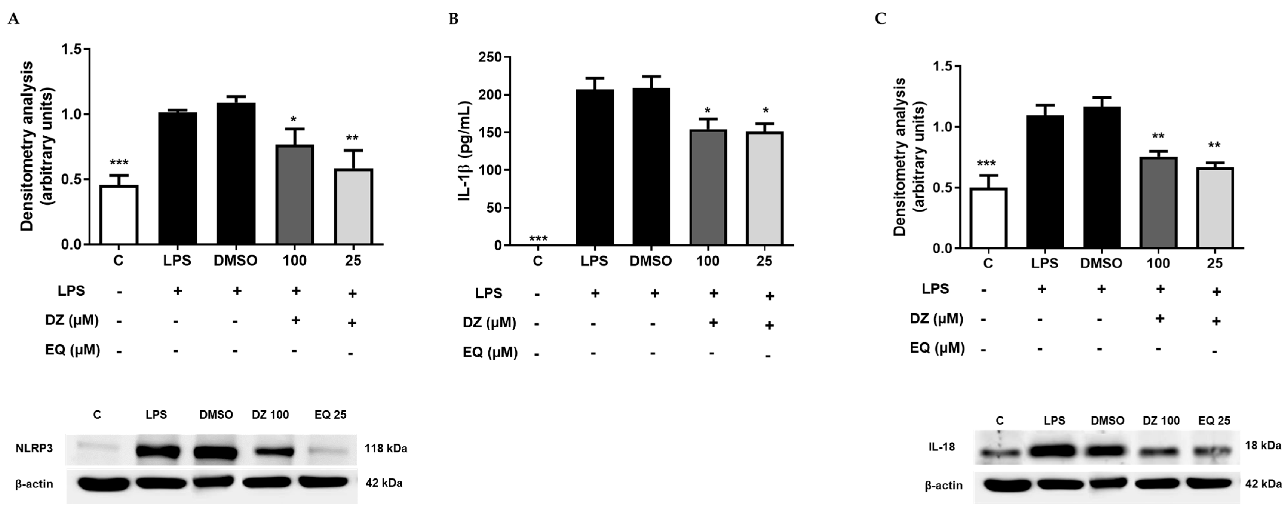 Pharmaceuticals 17 00647 g006 Pharmaceuticals 17 00647 g006