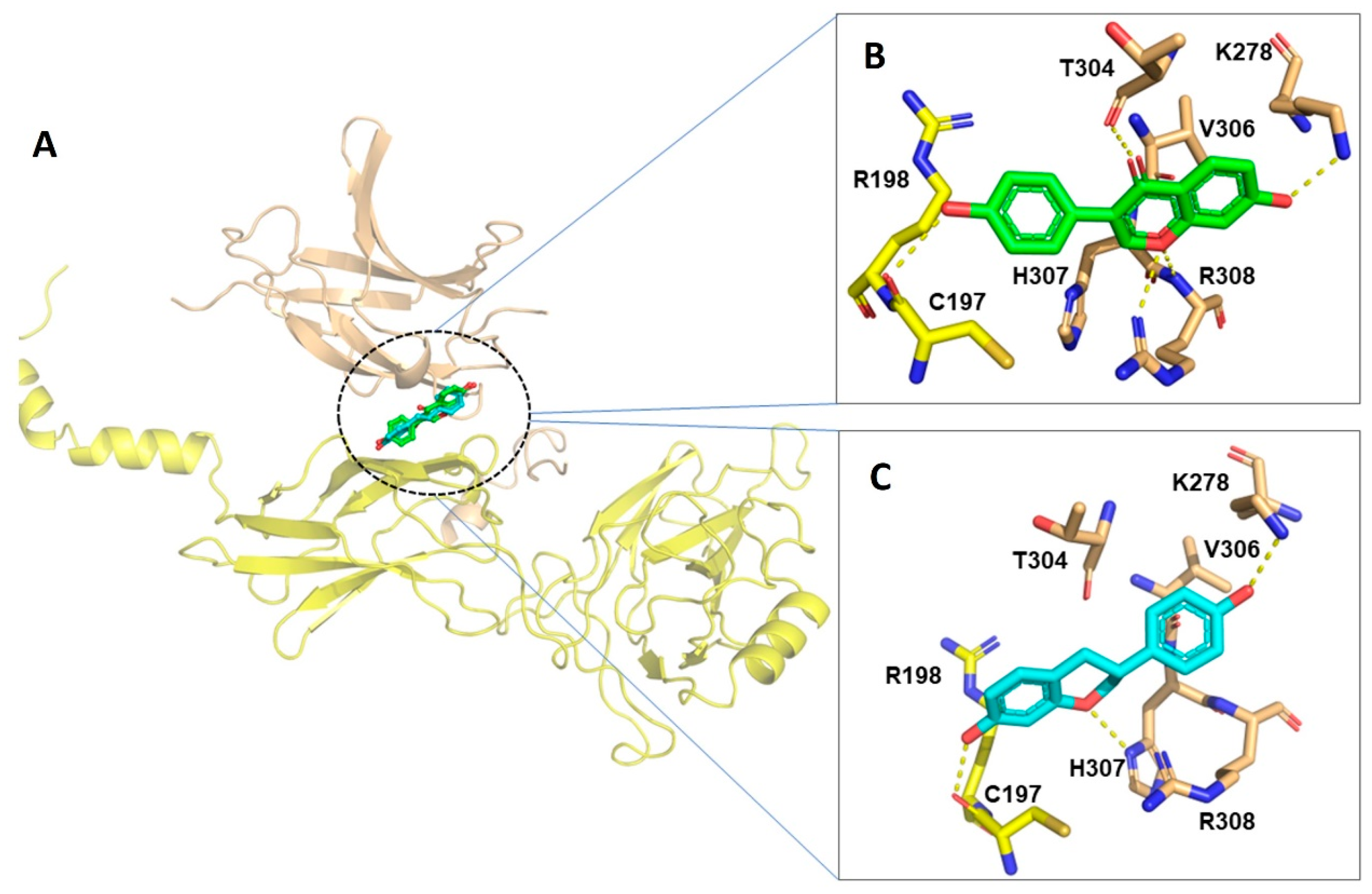 Pharmaceuticals 17 00647 g008 Pharmaceuticals 17 00647 g008