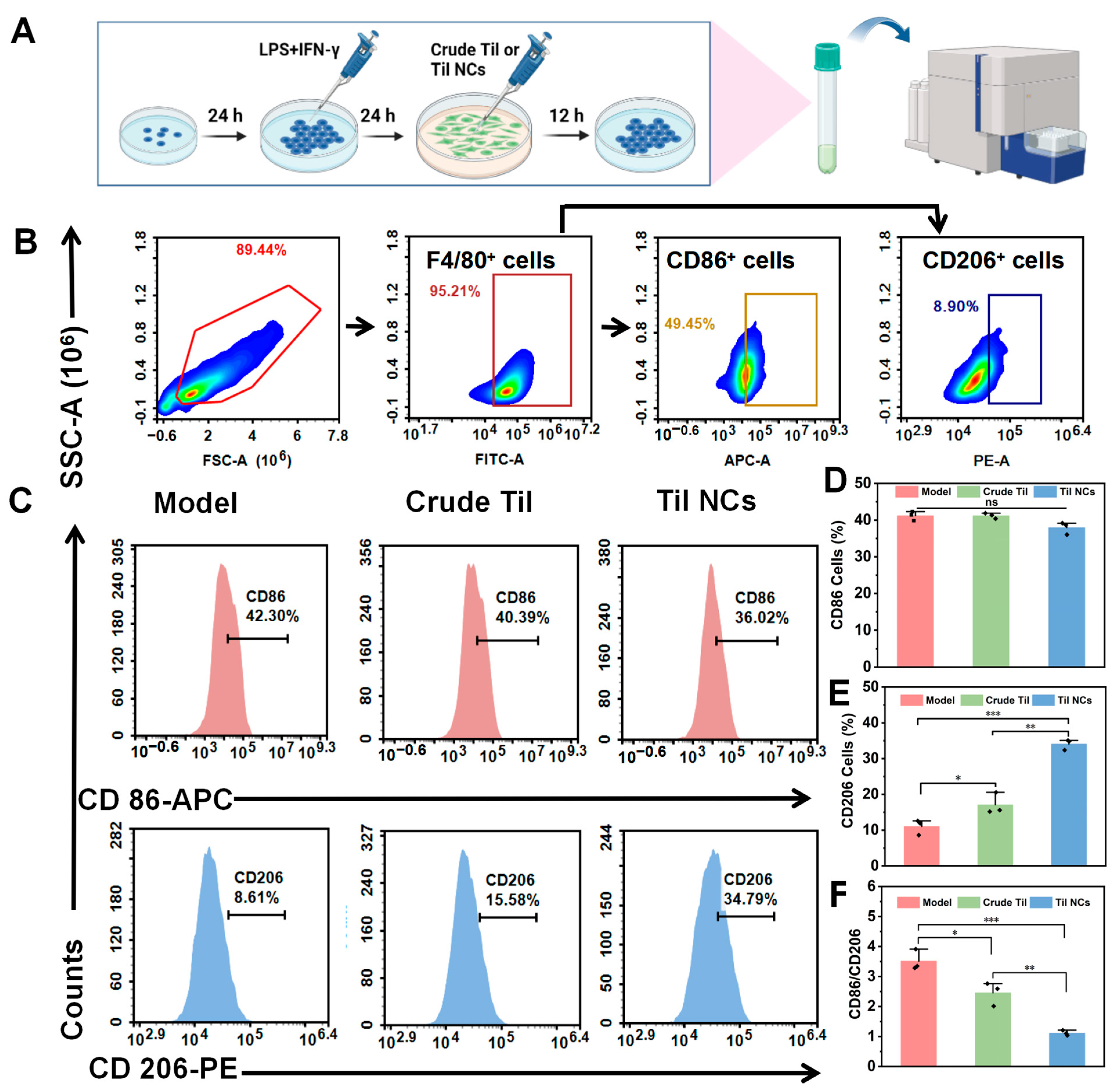 Pharmaceuticals 17 00654 g007