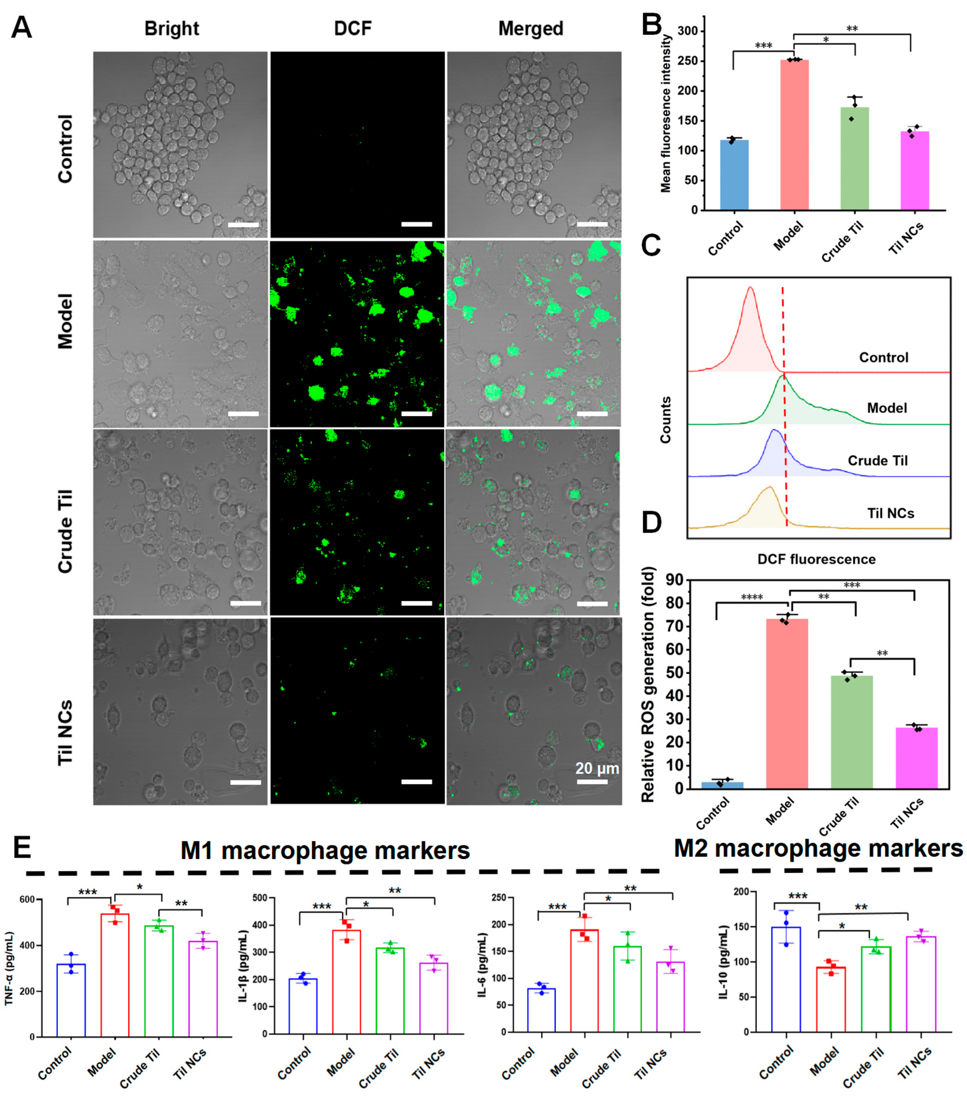 Pharmaceuticals 17 00654 g008