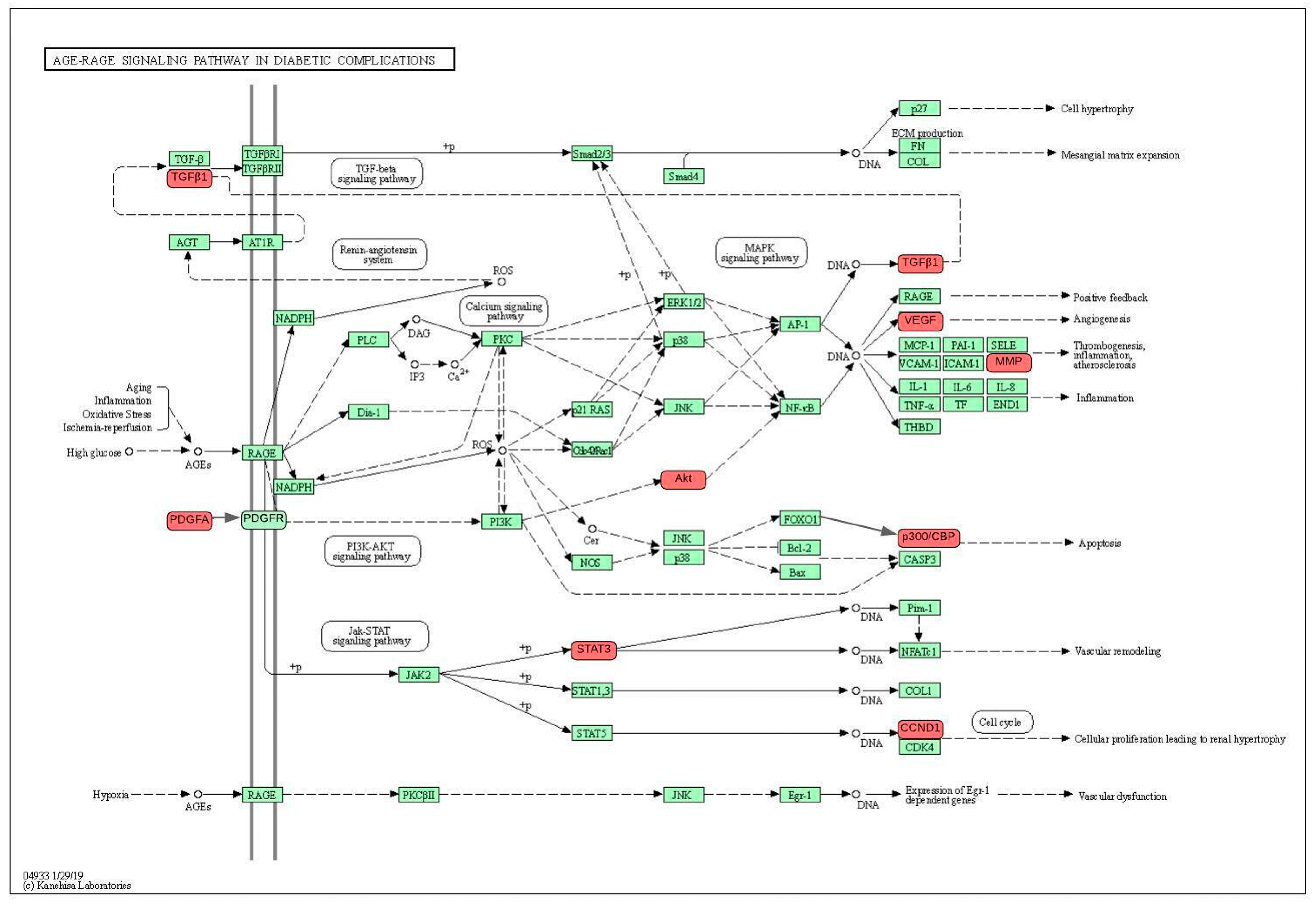 Pharmaceuticals 17 00662 g003