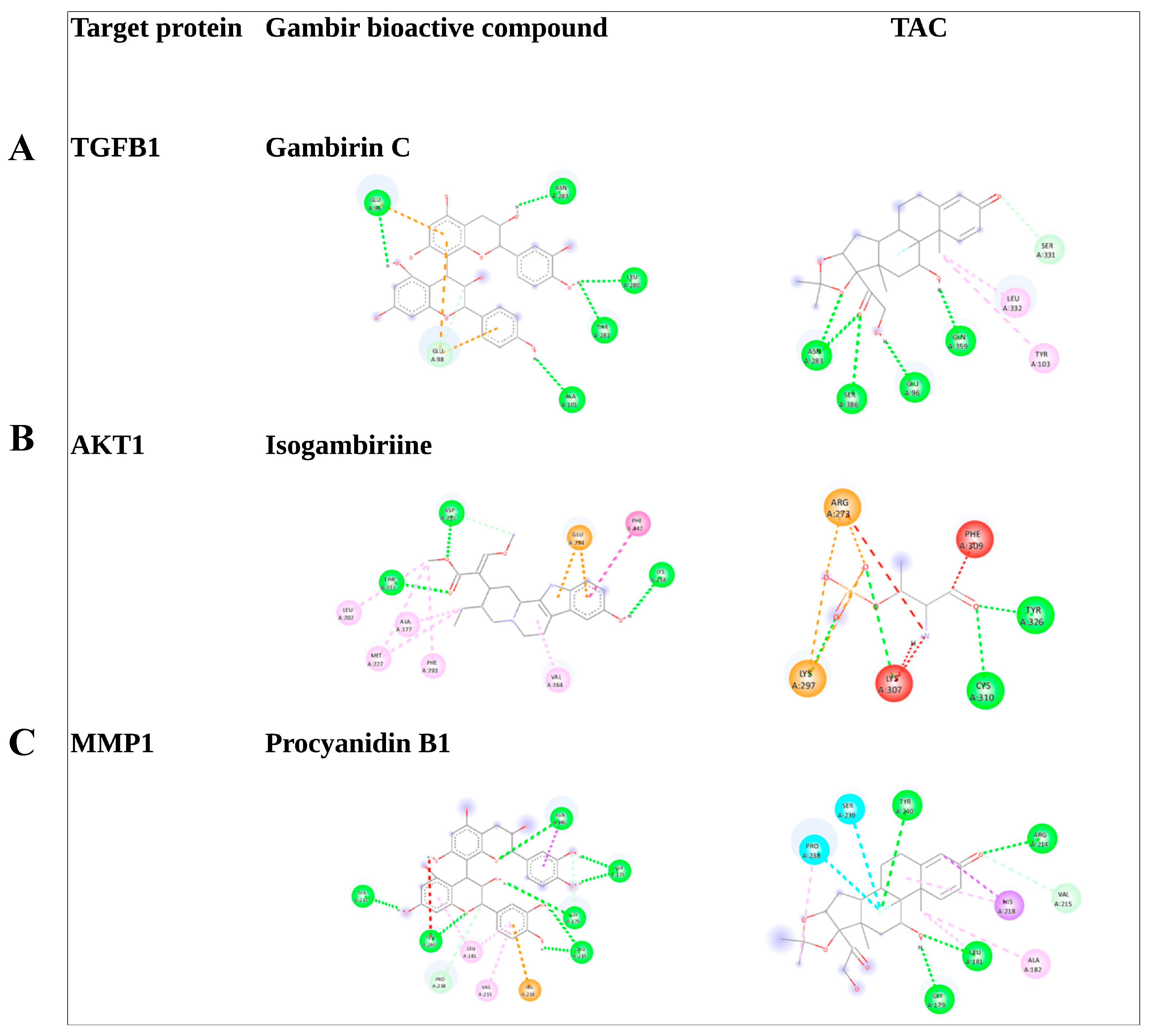 Pharmaceuticals 17 00662 g004