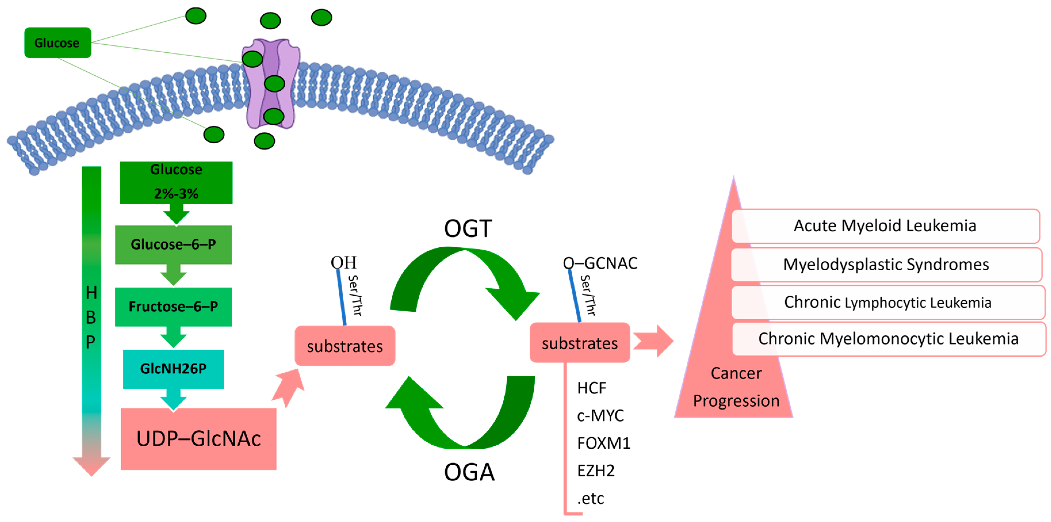 Pharmaceuticals 17 00664 g001