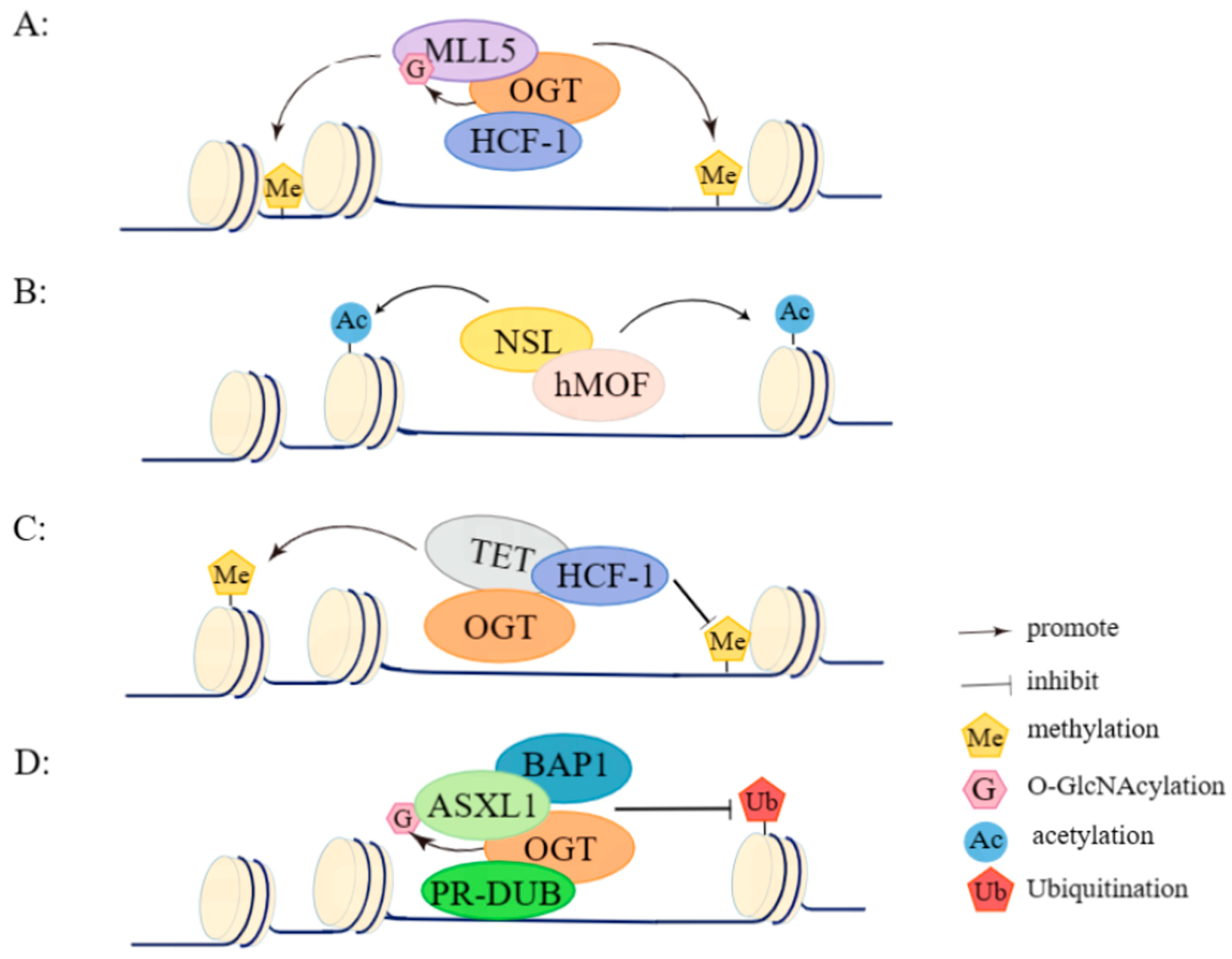Pharmaceuticals 17 00664 g002