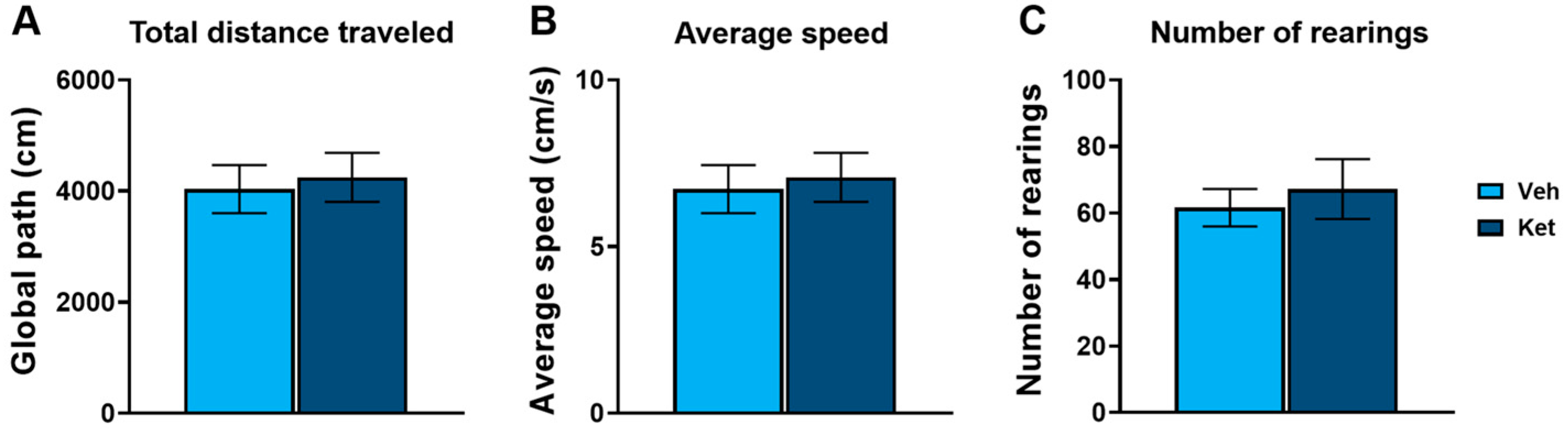 Pharmaceuticals 17 00669 g001