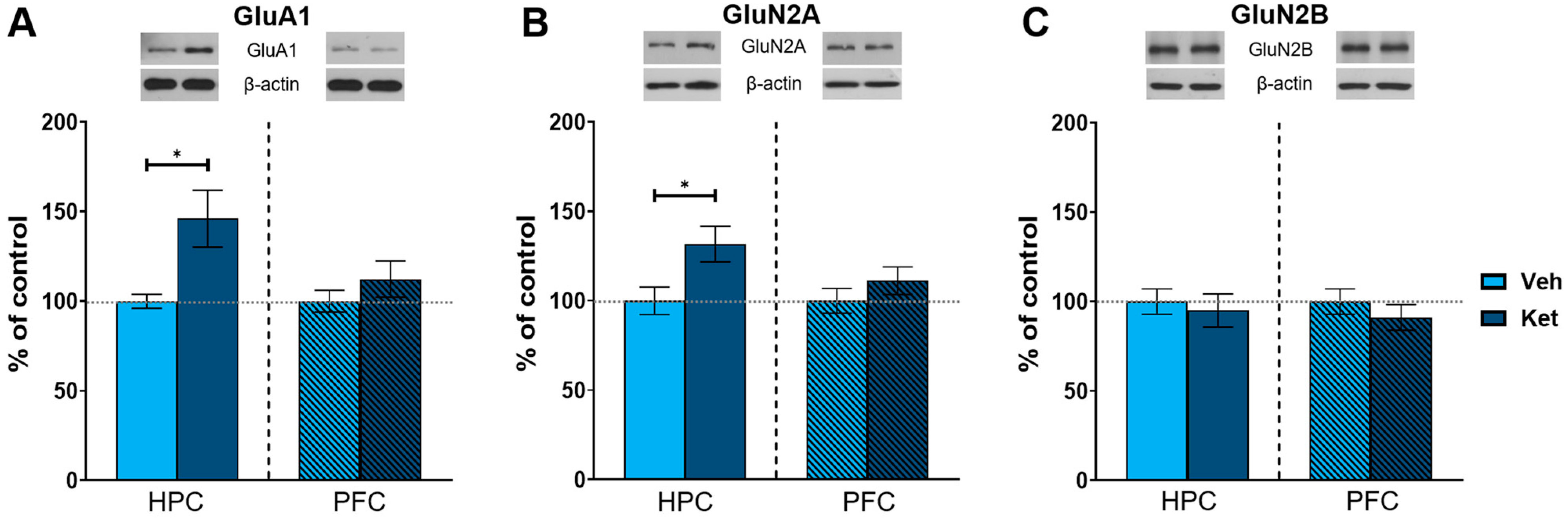 Pharmaceuticals 17 00669 g005