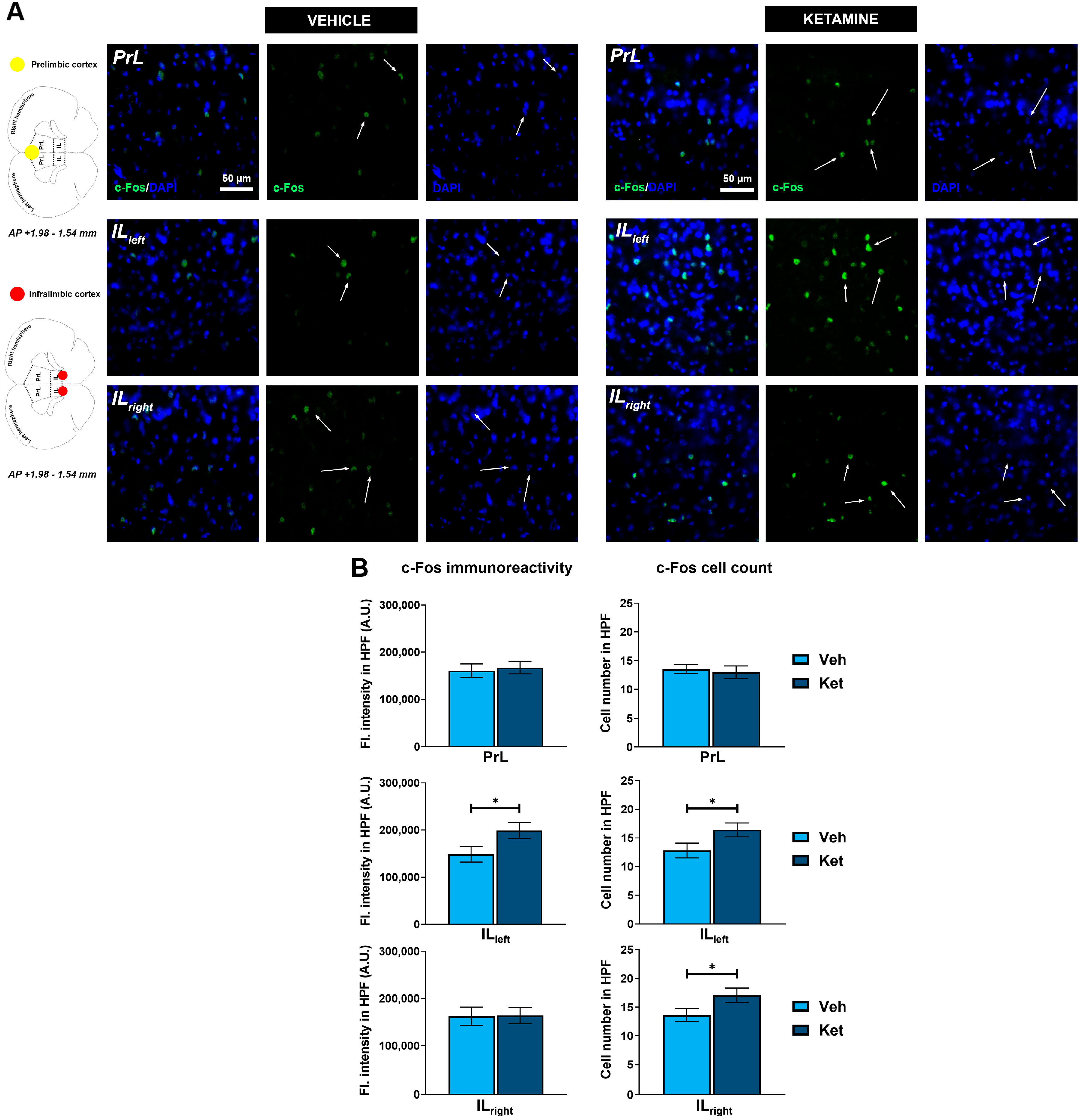 Pharmaceuticals 17 00669 g007