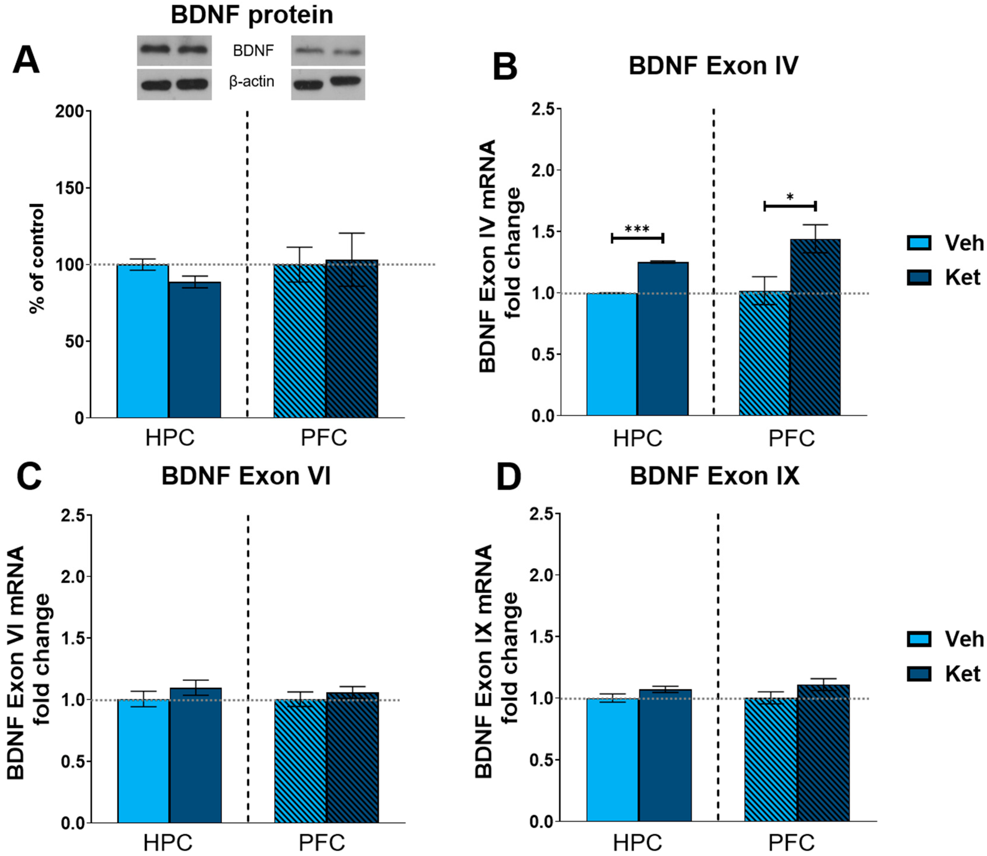 Pharmaceuticals 17 00669 g008