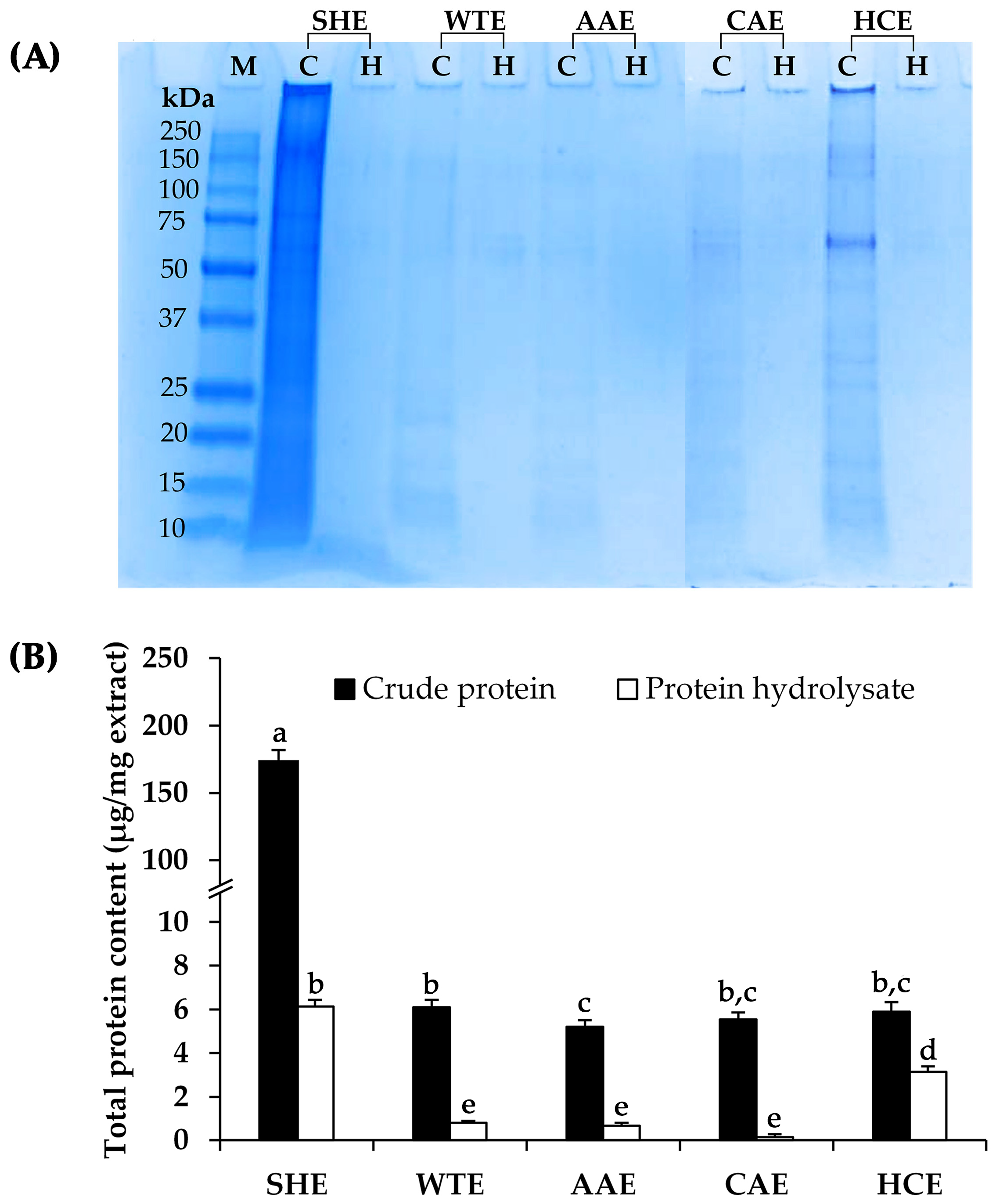 Pharmaceuticals 17 00679 g002