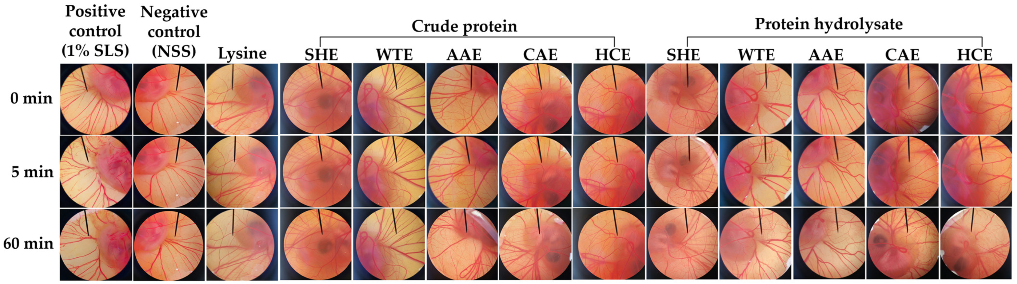 Pharmaceuticals 17 00679 g005