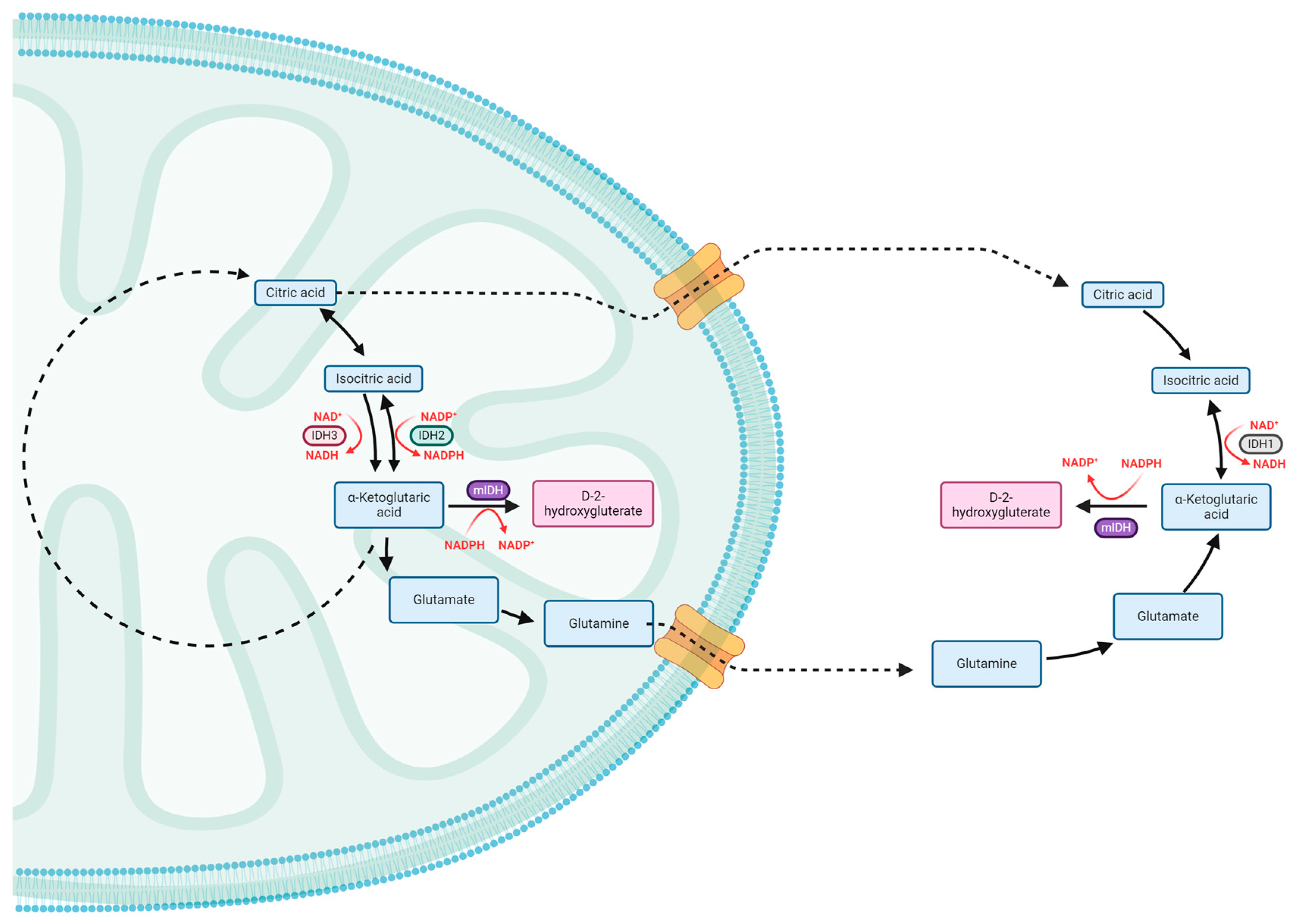 Pharmaceuticals 17 00682 g001