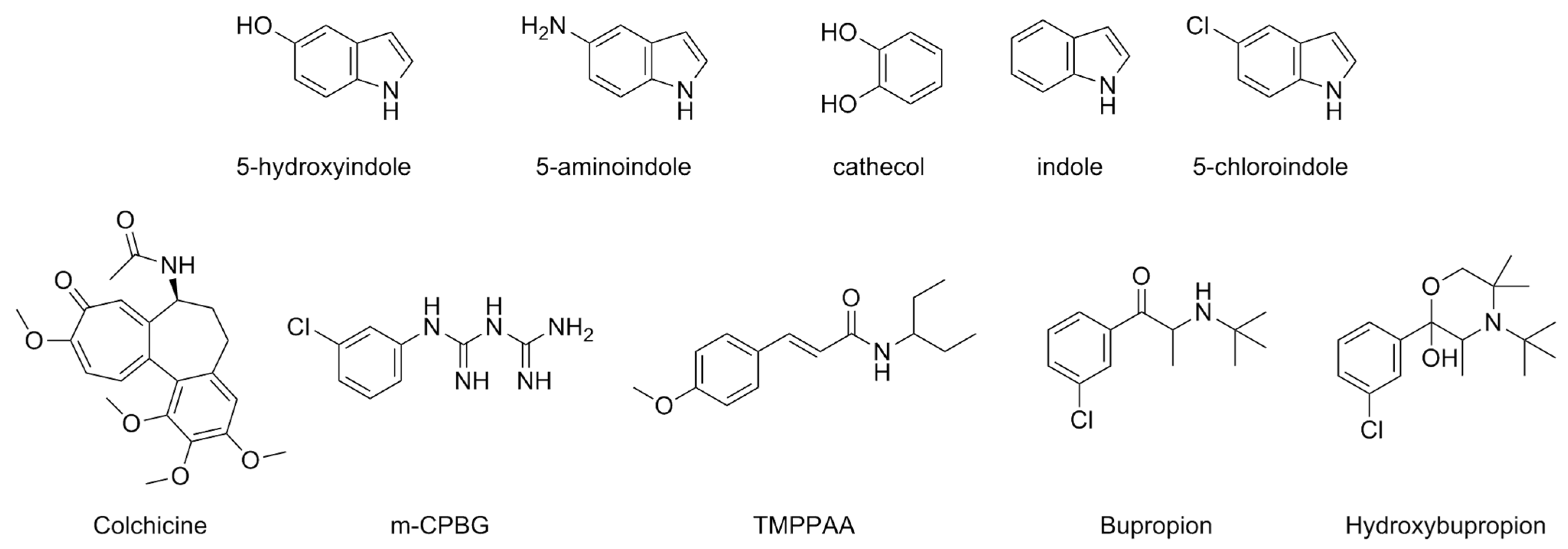 Pharmaceuticals 17 00695 g011