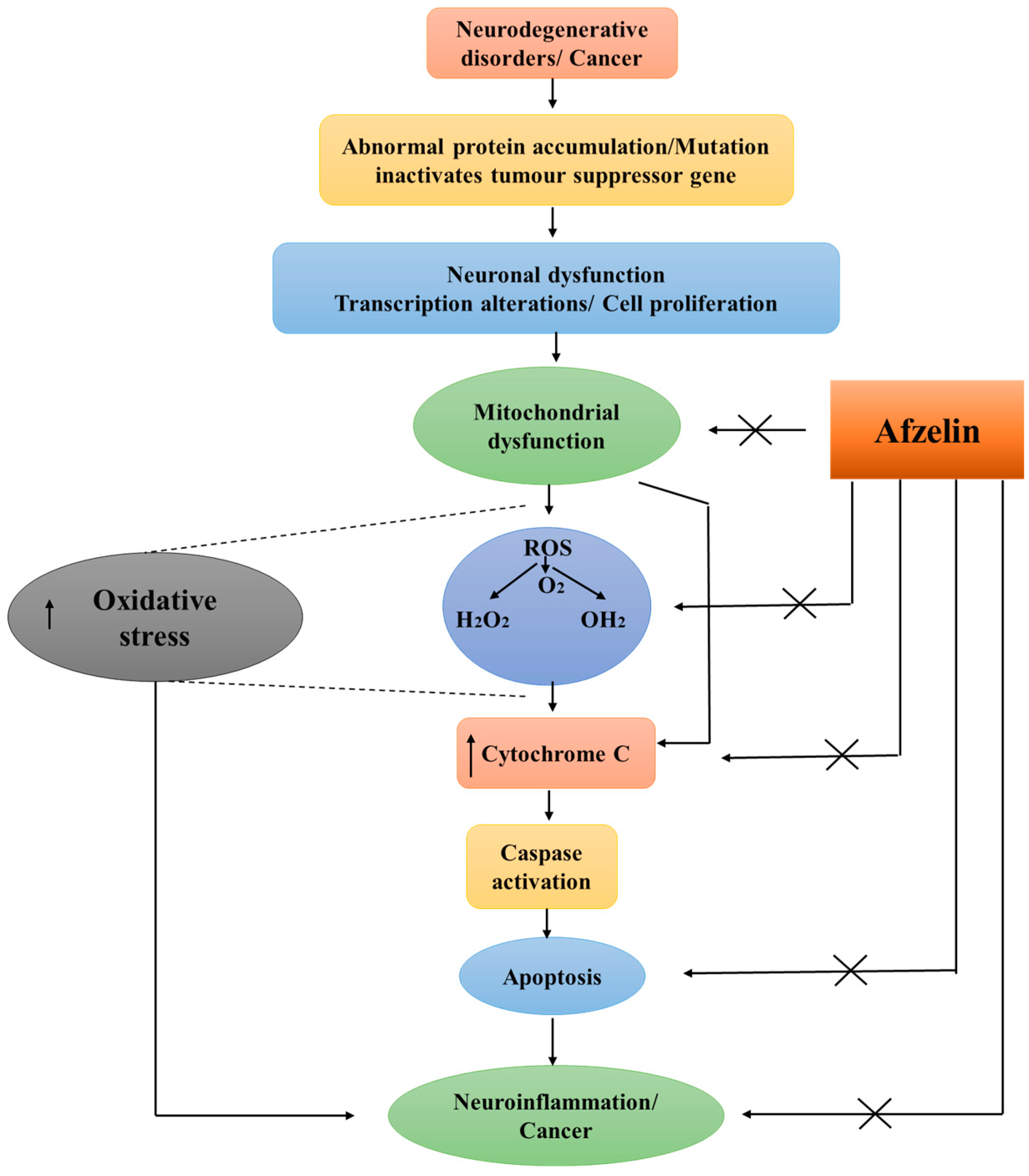 Pharmaceuticals 17 00701 g004