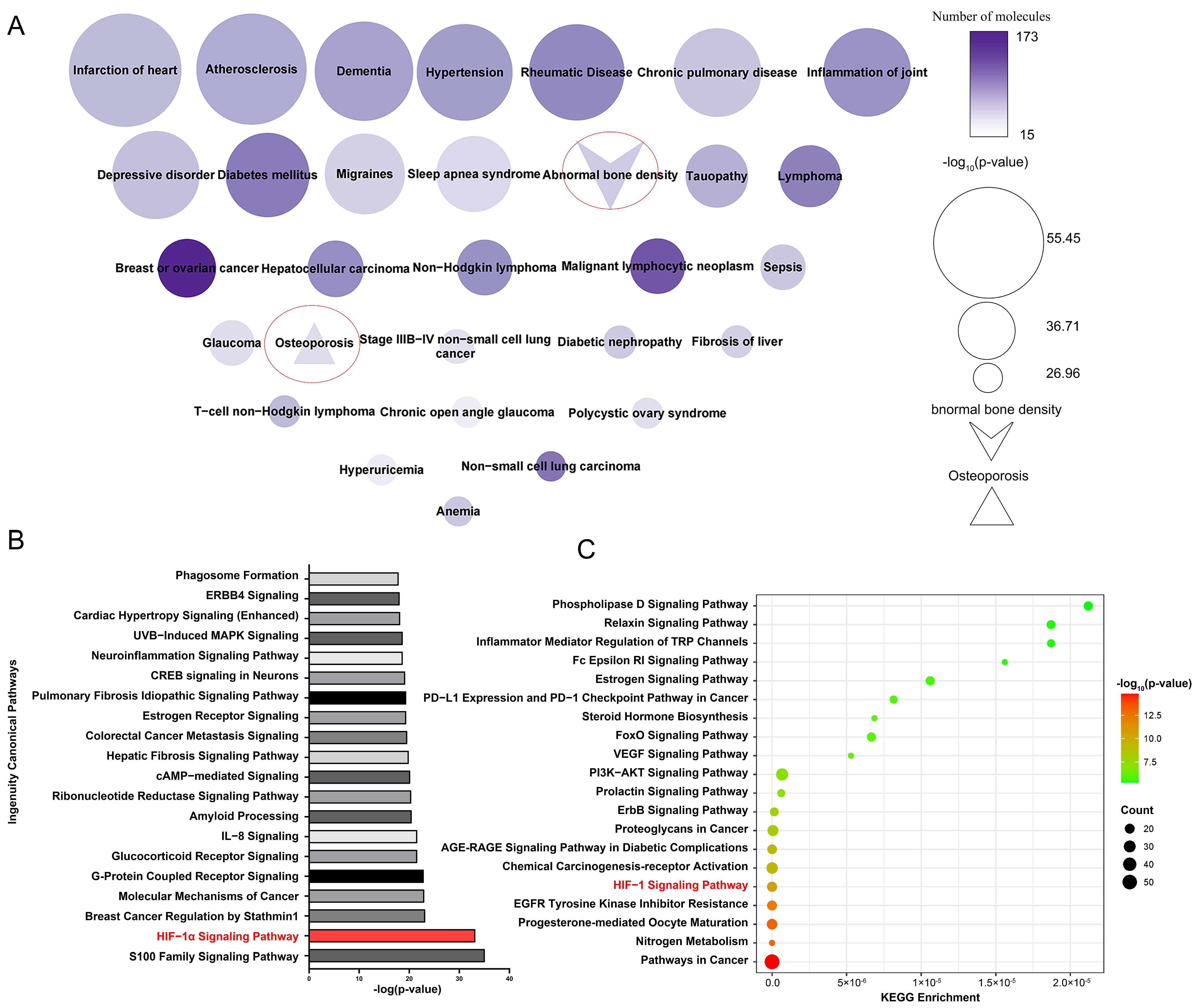Pharmaceuticals 17 00706 g002