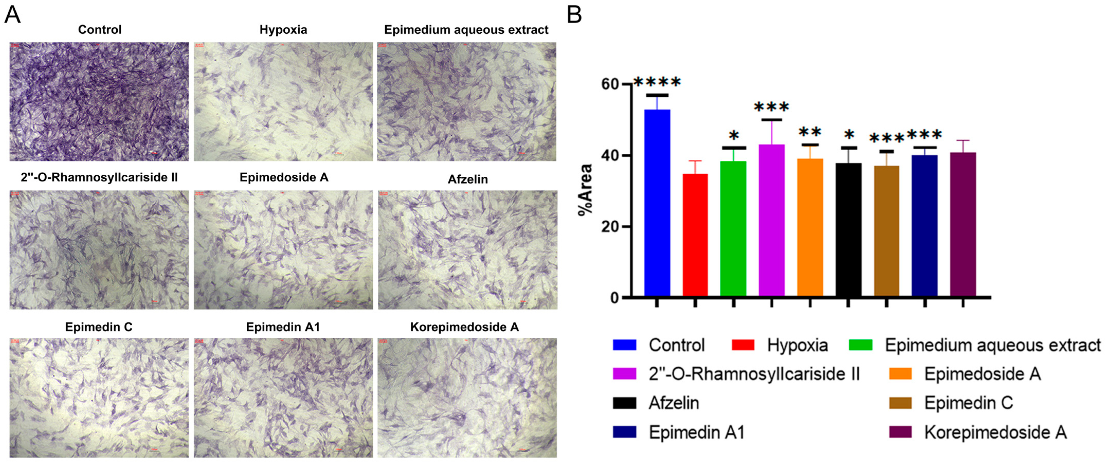 Pharmaceuticals 17 00706 g004