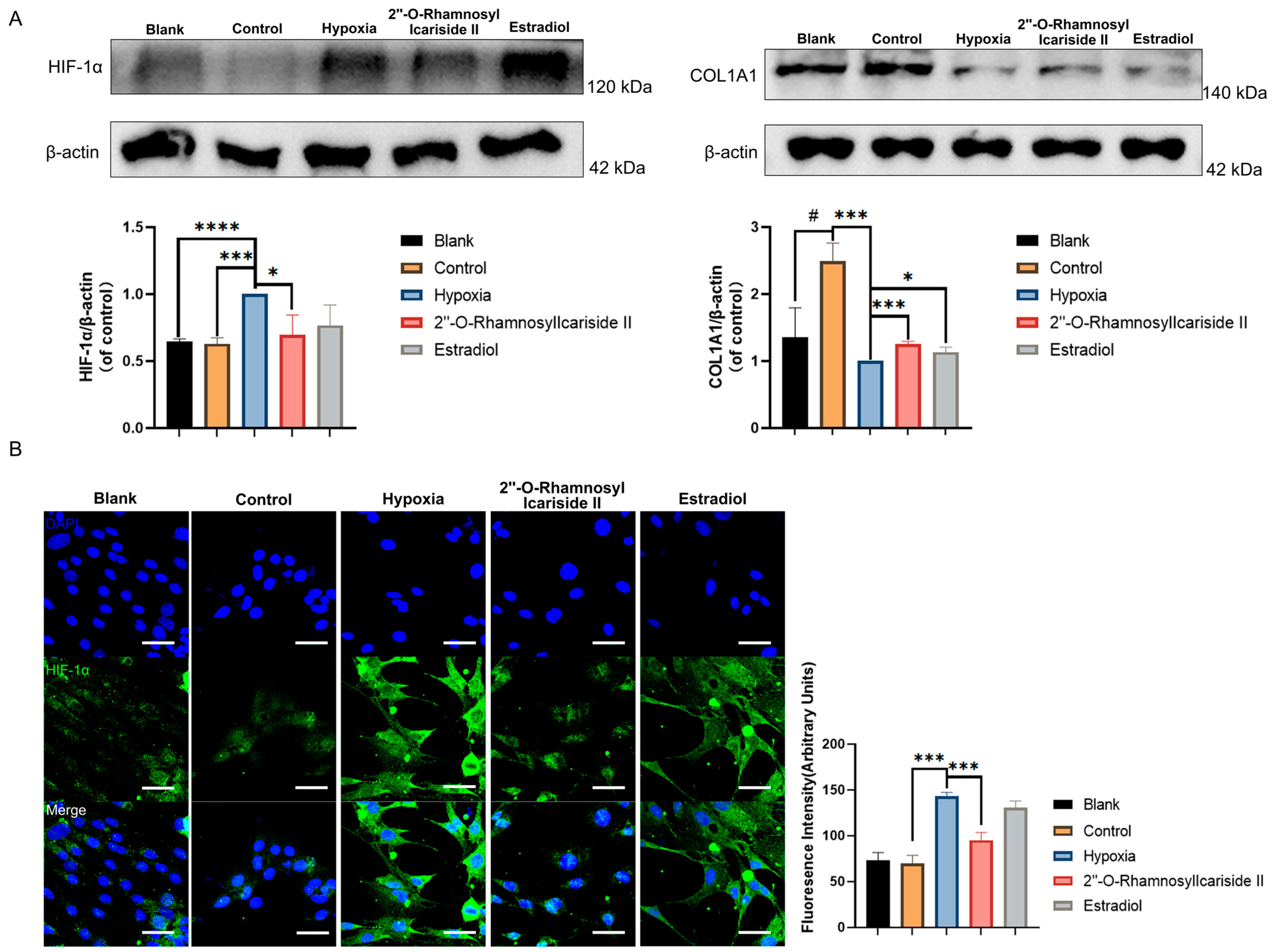 Pharmaceuticals 17 00706 g007
