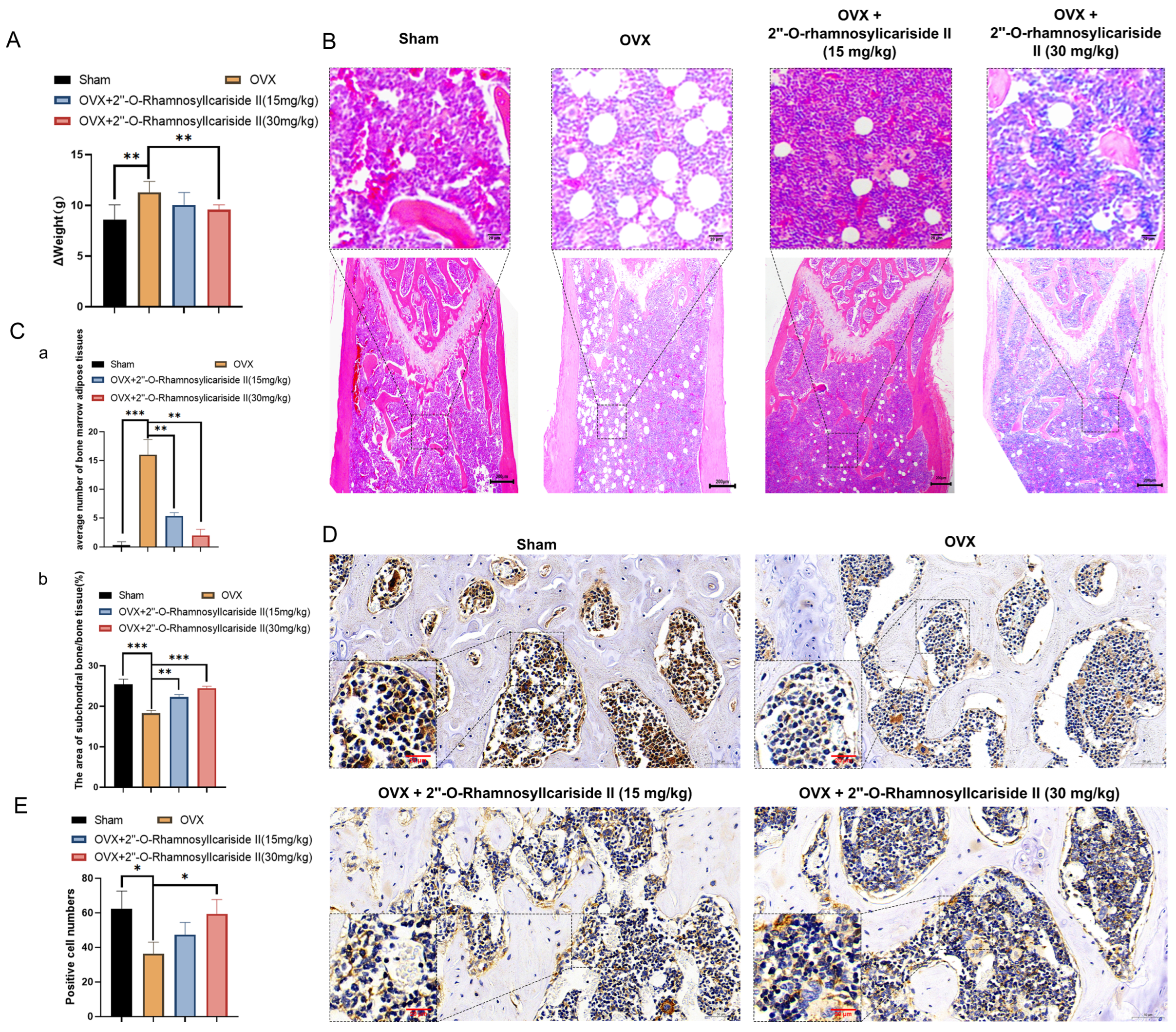 Pharmaceuticals 17 00706 g010